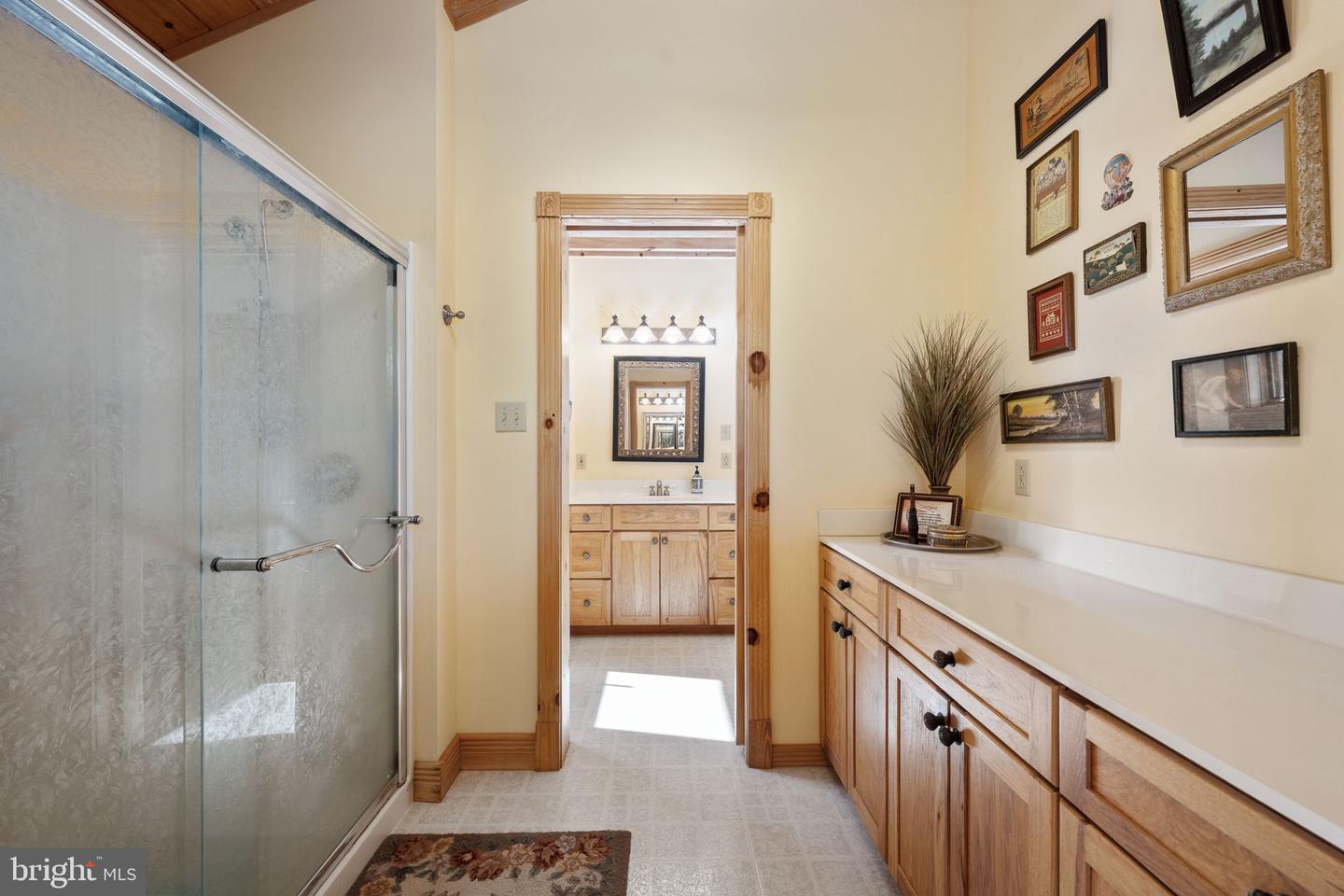 247 BURRUSS MILL RD, BUMPASS, Virginia 23024, 4 Bedrooms Bedrooms, ,3 BathroomsBathrooms,Residential,For sale,247 BURRUSS MILL RD,VALA2009288 MLS # VALA2009288