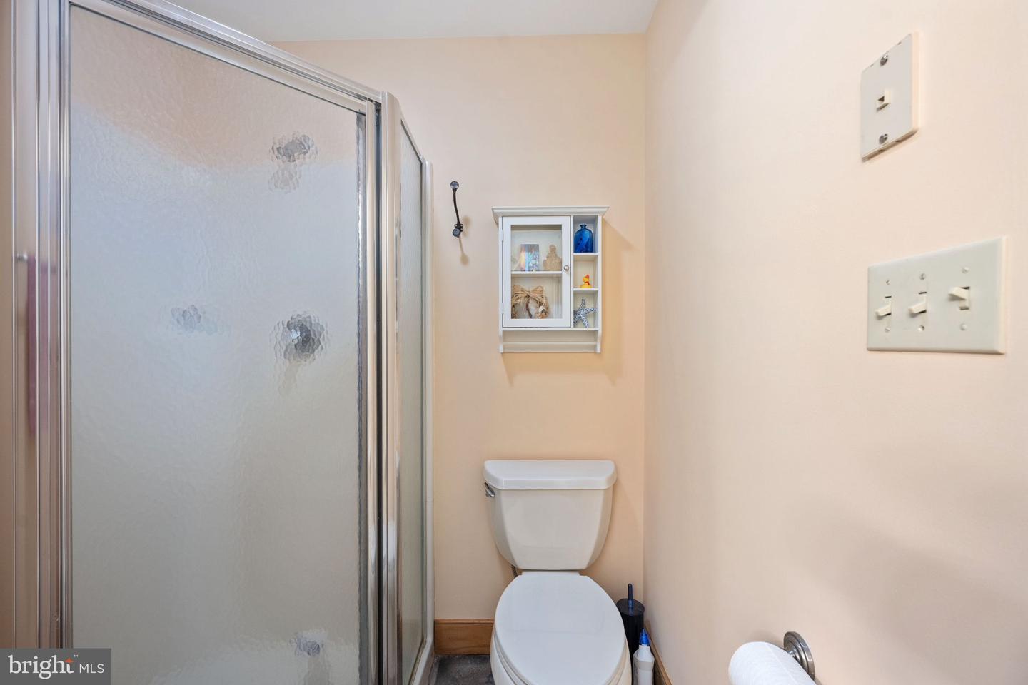 247 BURRUSS MILL RD, BUMPASS, Virginia 23024, 4 Bedrooms Bedrooms, ,3 BathroomsBathrooms,Residential,For sale,247 BURRUSS MILL RD,VALA2009288 MLS # VALA2009288