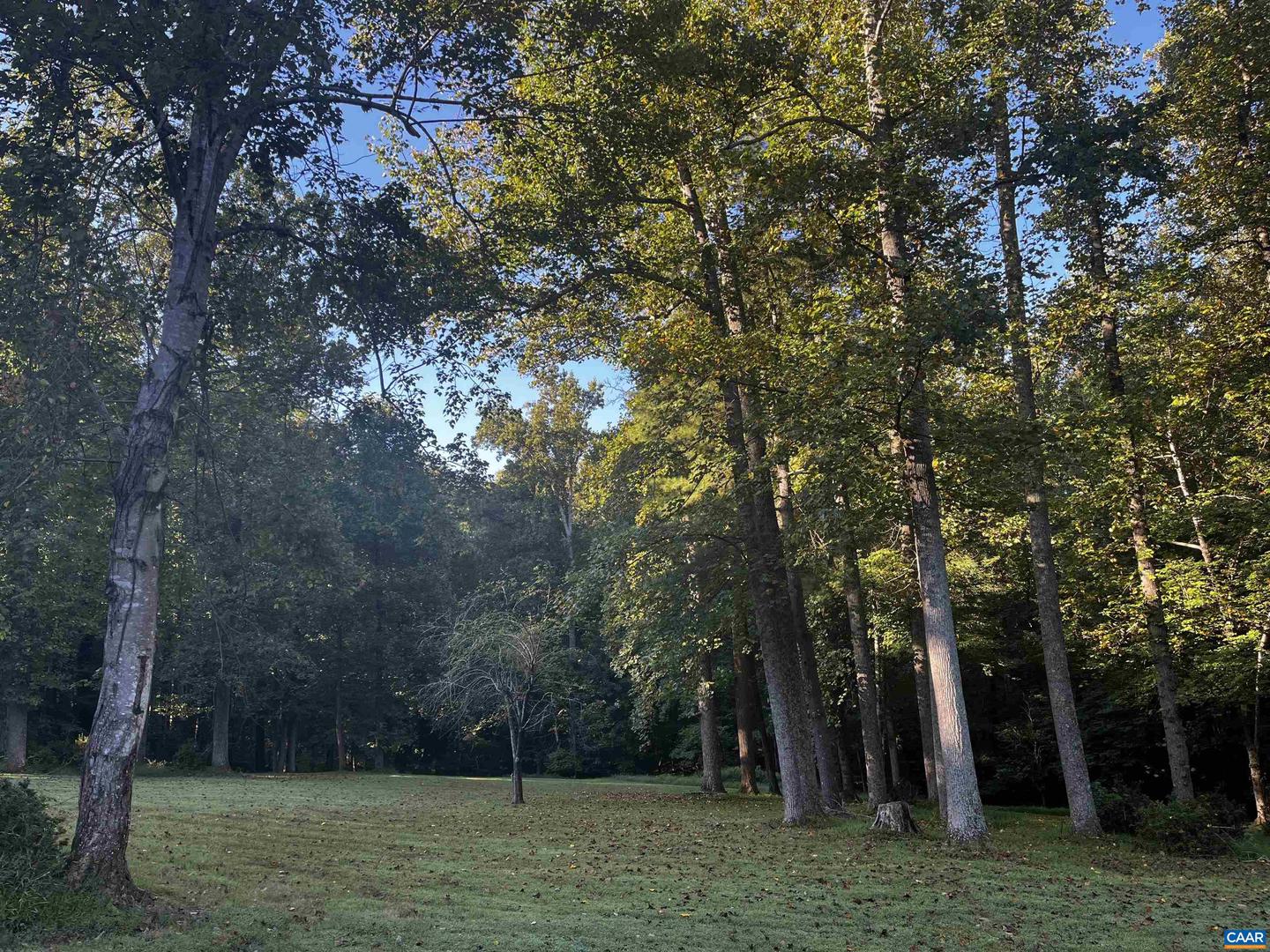 2482 SCHELFORD FARM RD, CHARLOTTESVILLE, Virginia 22901, 5 Bedrooms Bedrooms, ,4 BathroomsBathrooms,Residential,For sale,2482 SCHELFORD FARM RD,673366 MLS # 673366