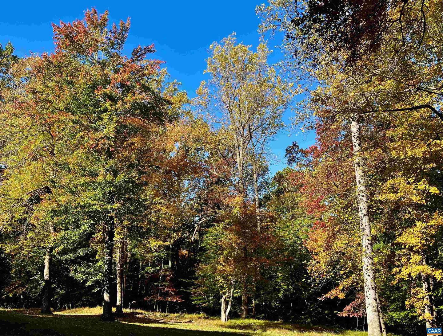 2482 SCHELFORD FARM RD, CHARLOTTESVILLE, Virginia 22901, 5 Bedrooms Bedrooms, ,4 BathroomsBathrooms,Residential,For sale,2482 SCHELFORD FARM RD,673366 MLS # 673366