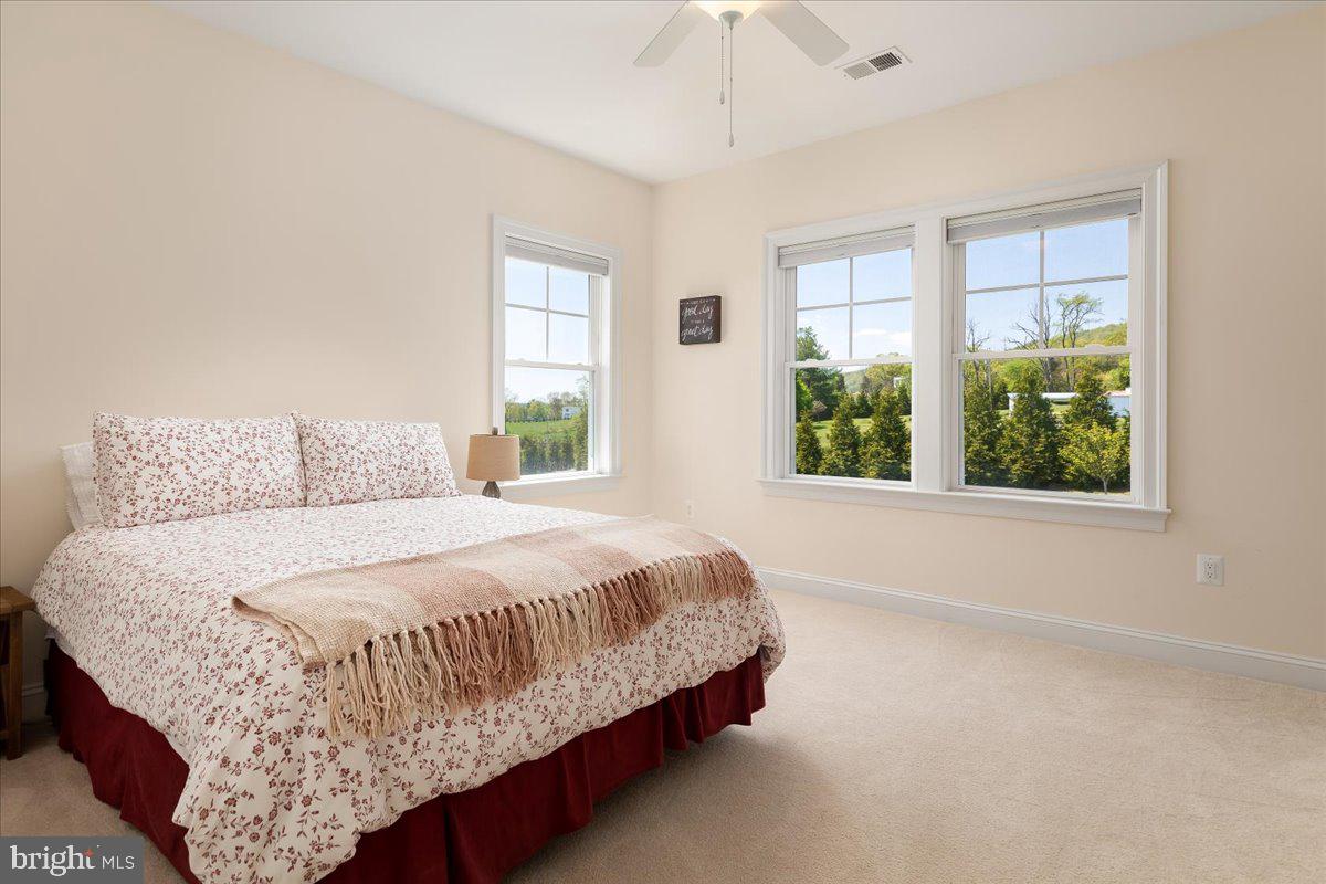 278 LITTLE MOUNTAIN LN, EDINBURG, Virginia 22824, 5 Bedrooms Bedrooms, ,6 BathroomsBathrooms,Residential,For sale,278 LITTLE MOUNTAIN LN,VASH2013648 MLS # VASH2013648 278 LITTLE MOUNTAIN LN, EDINBURG, Virginia 22824, 5 Bedrooms Bedrooms, ,6 BathroomsBathrooms,Residential,For sale,278 LITTLE MOUNTAIN LN,VASH2013648 MLS # VASH2013648