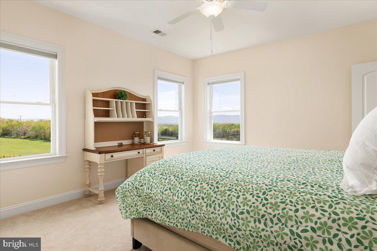 278 LITTLE MOUNTAIN LN, EDINBURG, Virginia 22824, 5 Bedrooms Bedrooms, ,6 BathroomsBathrooms,Residential,For sale,278 LITTLE MOUNTAIN LN,VASH2013648 MLS # VASH2013648 278 LITTLE MOUNTAIN LN, EDINBURG, Virginia 22824, 5 Bedrooms Bedrooms, ,6 BathroomsBathrooms,Residential,For sale,278 LITTLE MOUNTAIN LN,VASH2013648 MLS # VASH2013648