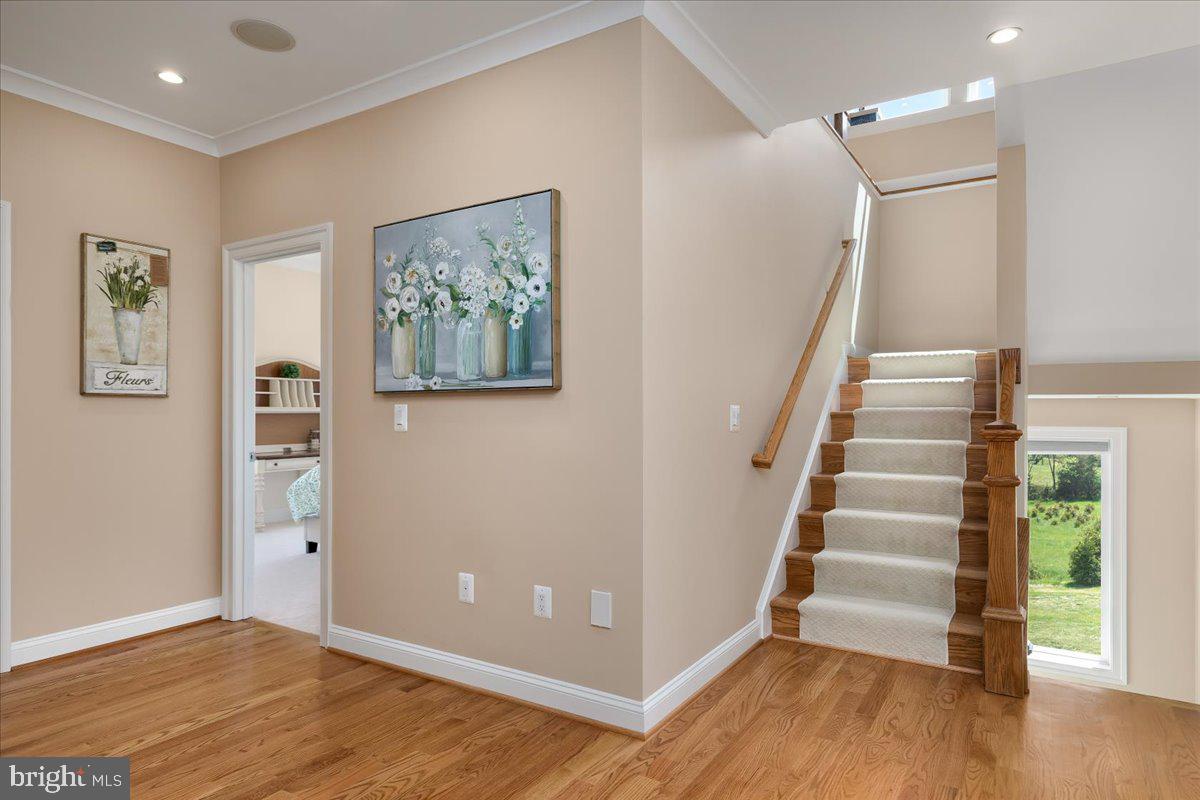 278 LITTLE MOUNTAIN LN, EDINBURG, Virginia 22824, 5 Bedrooms Bedrooms, ,6 BathroomsBathrooms,Residential,For sale,278 LITTLE MOUNTAIN LN,VASH2013648 MLS # VASH2013648 278 LITTLE MOUNTAIN LN, EDINBURG, Virginia 22824, 5 Bedrooms Bedrooms, ,6 BathroomsBathrooms,Residential,For sale,278 LITTLE MOUNTAIN LN,VASH2013648 MLS # VASH2013648