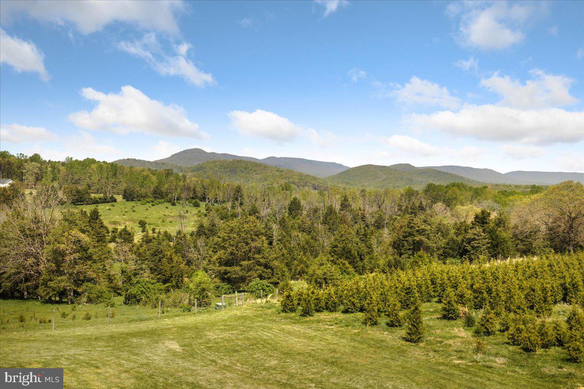 278 LITTLE MOUNTAIN LN, EDINBURG, Virginia 22824, 5 Bedrooms Bedrooms, ,6 BathroomsBathrooms,Residential,For sale,278 LITTLE MOUNTAIN LN,VASH2013648 MLS # VASH2013648 278 LITTLE MOUNTAIN LN, EDINBURG, Virginia 22824, 5 Bedrooms Bedrooms, ,6 BathroomsBathrooms,Residential,For sale,278 LITTLE MOUNTAIN LN,VASH2013648 MLS # VASH2013648