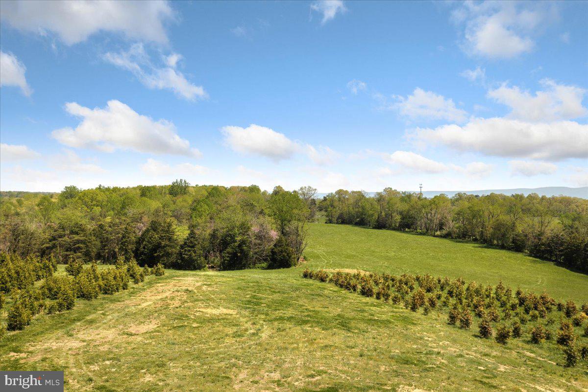 278 LITTLE MOUNTAIN LN, EDINBURG, Virginia 22824, 5 Bedrooms Bedrooms, ,6 BathroomsBathrooms,Residential,For sale,278 LITTLE MOUNTAIN LN,VASH2013648 MLS # VASH2013648 278 LITTLE MOUNTAIN LN, EDINBURG, Virginia 22824, 5 Bedrooms Bedrooms, ,6 BathroomsBathrooms,Residential,For sale,278 LITTLE MOUNTAIN LN,VASH2013648 MLS # VASH2013648