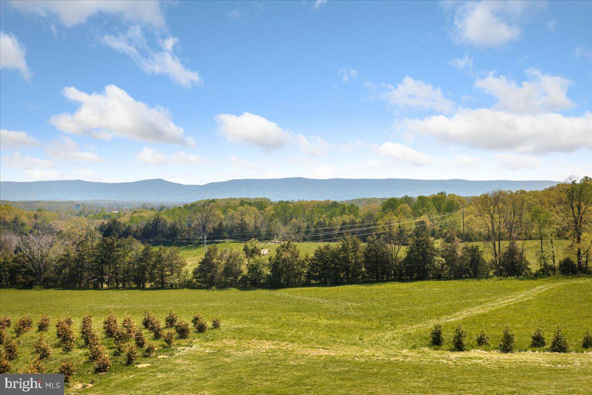 278 LITTLE MOUNTAIN LN, EDINBURG, Virginia 22824, 5 Bedrooms Bedrooms, ,6 BathroomsBathrooms,Residential,For sale,278 LITTLE MOUNTAIN LN,VASH2013648 MLS # VASH2013648 278 LITTLE MOUNTAIN LN, EDINBURG, Virginia 22824, 5 Bedrooms Bedrooms, ,6 BathroomsBathrooms,Residential,For sale,278 LITTLE MOUNTAIN LN,VASH2013648 MLS # VASH2013648