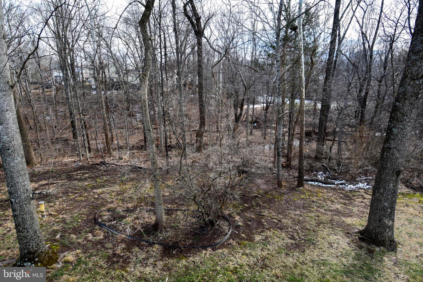 4407 GALESBURY LN, CHANTILLY, Virginia 20151, 5 Bedrooms Bedrooms, 20 Rooms Rooms,3 BathroomsBathrooms,Residential,For sale,4407 GALESBURY LN,VAFX2292588 MLS # VAFX2292588