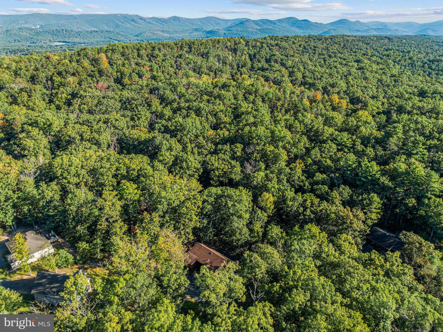 193 ASH LN, MOUNT JACKSON, Virginia 22842, 5 Bedrooms Bedrooms, ,3 BathroomsBathrooms,Residential,For sale,193 ASH LN,VASH2013662 MLS # VASH2013662 193 ASH LN, MOUNT JACKSON, Virginia 22842, 5 Bedrooms Bedrooms, ,3 BathroomsBathrooms,Residential,For sale,193 ASH LN,VASH2013662 MLS # VASH2013662