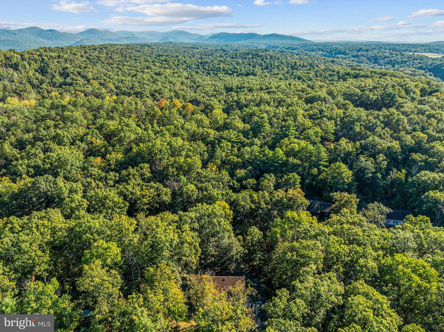 193 ASH LN, MOUNT JACKSON, Virginia 22842, 5 Bedrooms Bedrooms, ,3 BathroomsBathrooms,Residential,For sale,193 ASH LN,VASH2013662 MLS # VASH2013662 193 ASH LN, MOUNT JACKSON, Virginia 22842, 5 Bedrooms Bedrooms, ,3 BathroomsBathrooms,Residential,For sale,193 ASH LN,VASH2013662 MLS # VASH2013662