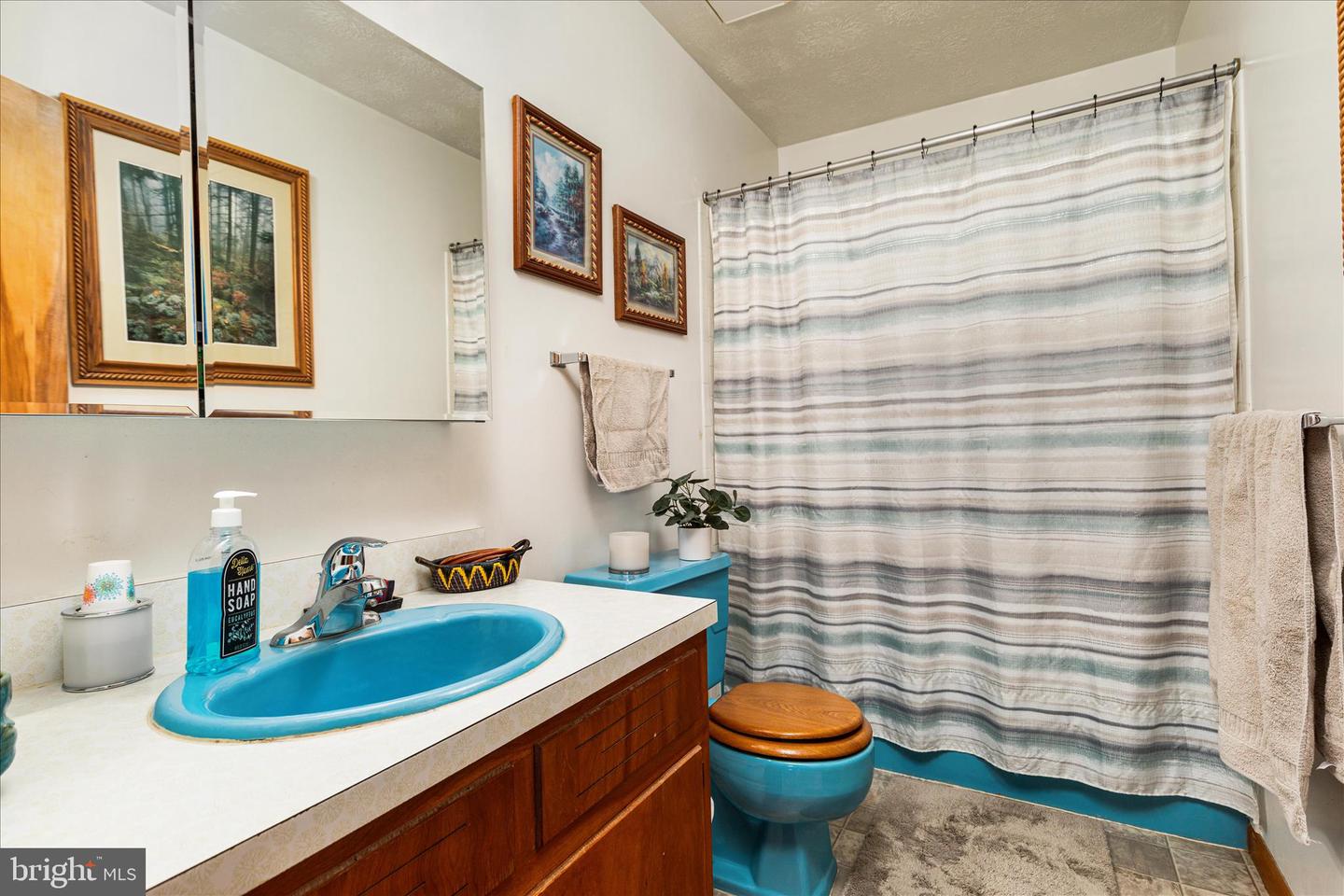 1596 US HIGHWAY 211 E BSN, LURAY, Virginia 22835, 3 Bedrooms Bedrooms, 8 Rooms Rooms,2 BathroomsBathrooms,Residential,For sale,1596 US HIGHWAY 211 E BSN,VAPA2006080 MLS # VAPA2006080