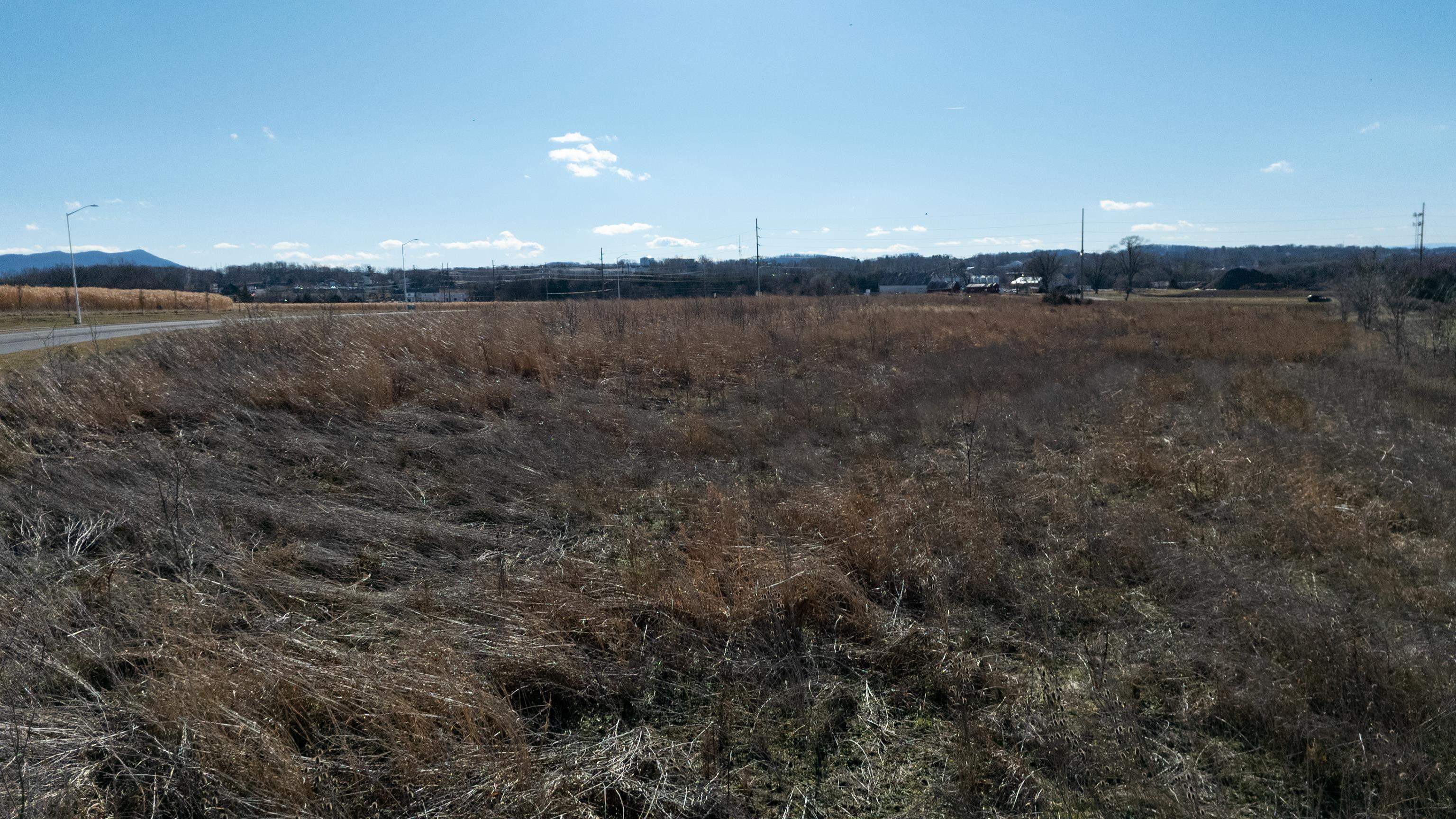 10 ac ACORN DR, HARRISONBURG, Virginia 22801, ,Commercial,10 ac ACORN DR,673684 MLS # 673684 10 ac ACORN DR, HARRISONBURG, Virginia 22801, ,Commercial,10 ac ACORN DR,673684 MLS # 673684