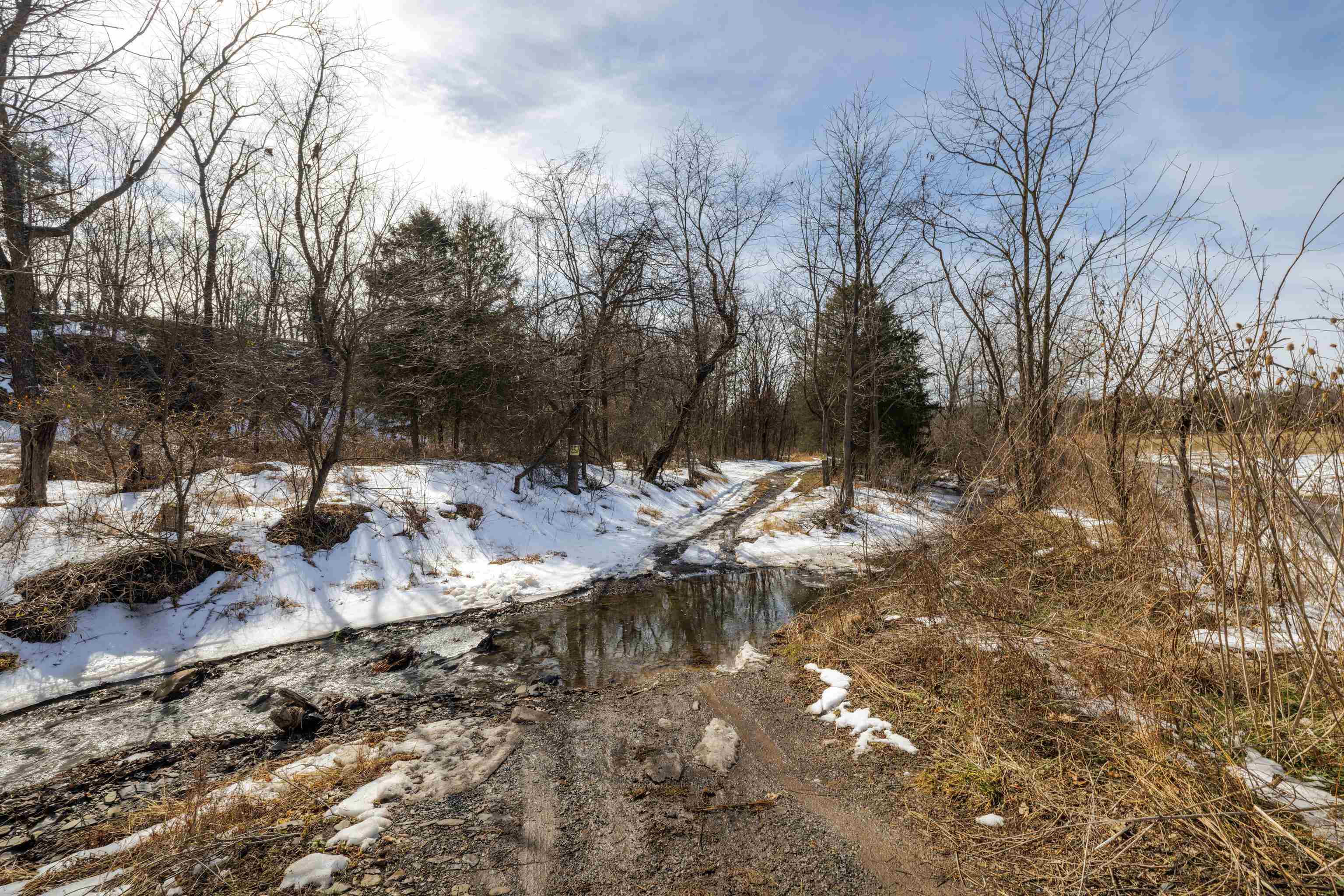 14.07 ac CREEK BED LN, FULKS RUN, Virginia 22830, ,Land,14.07 ac CREEK BED LN,673674 MLS # 673674 14.07 ac CREEK BED LN, FULKS RUN, Virginia 22830, ,Land,14.07 ac CREEK BED LN,673674 MLS # 673674