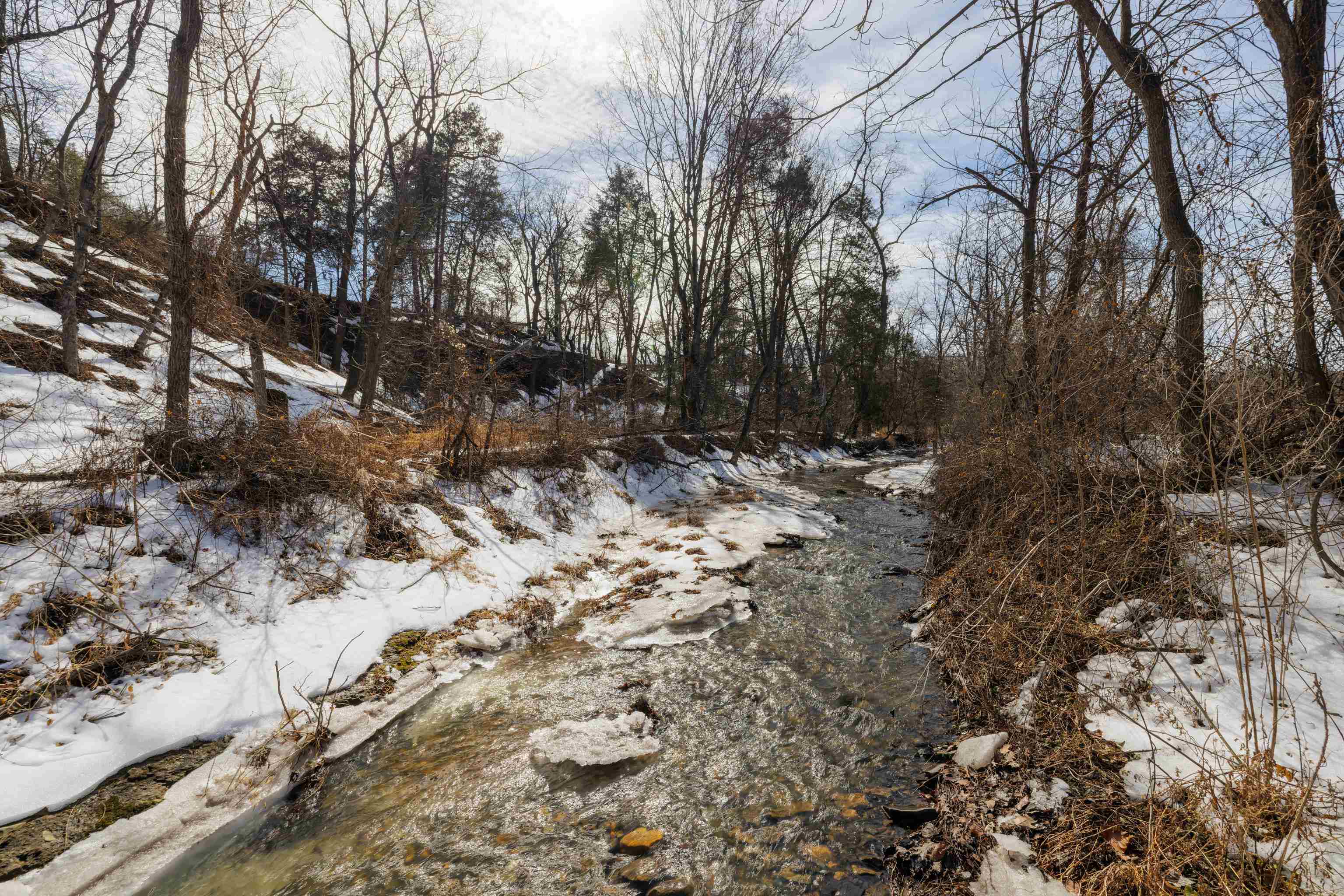 14.07 ac CREEK BED LN, FULKS RUN, Virginia 22830, ,Land,14.07 ac CREEK BED LN,673674 MLS # 673674 14.07 ac CREEK BED LN, FULKS RUN, Virginia 22830, ,Land,14.07 ac CREEK BED LN,673674 MLS # 673674