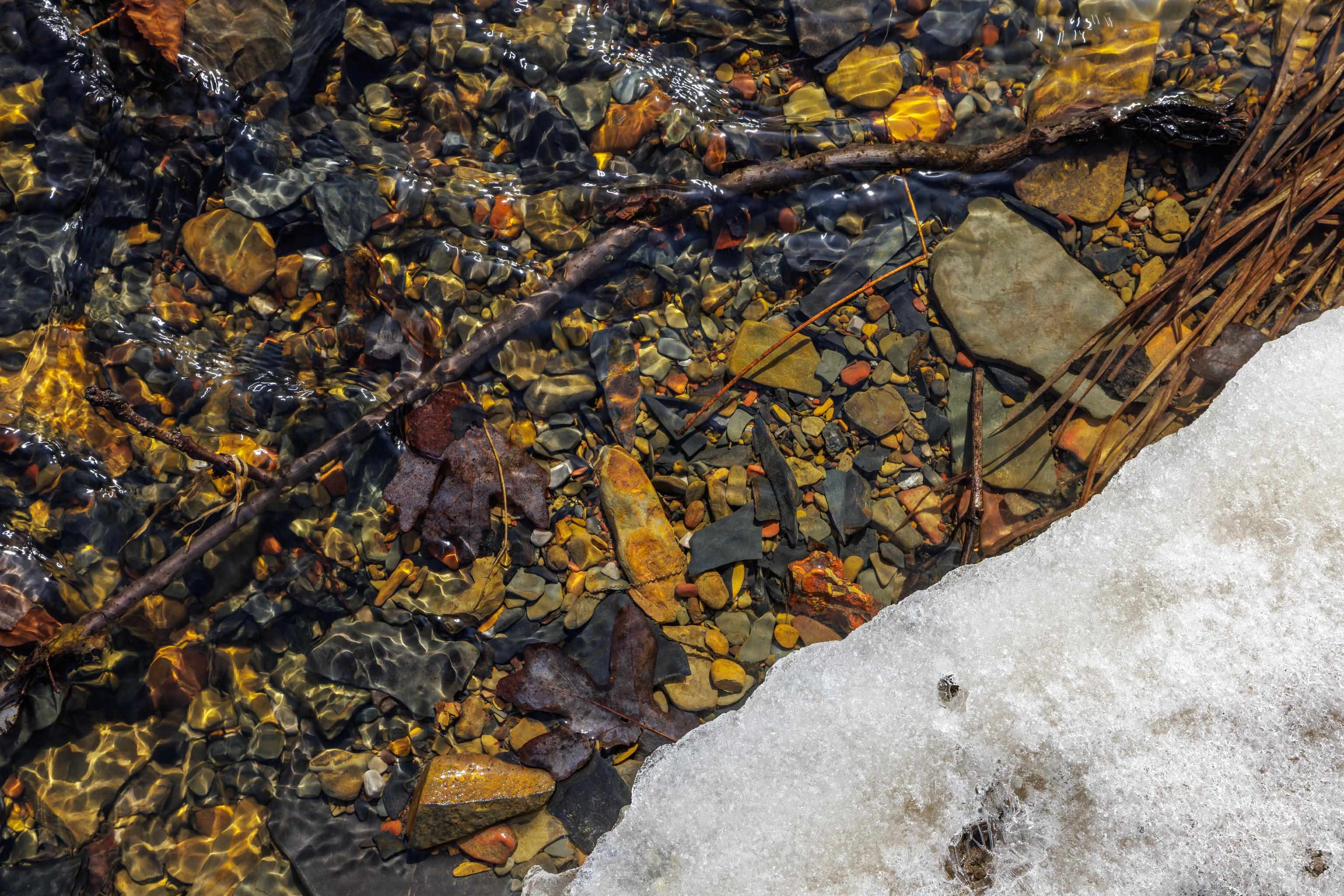 14.07 ac CREEK BED LN, FULKS RUN, Virginia 22830, ,Land,14.07 ac CREEK BED LN,673674 MLS # 673674 14.07 ac CREEK BED LN, FULKS RUN, Virginia 22830, ,Land,14.07 ac CREEK BED LN,673674 MLS # 673674