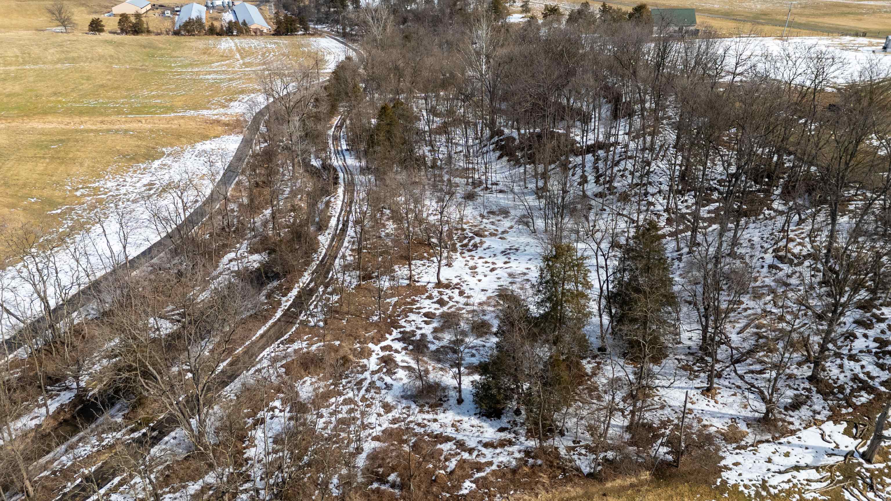 14.07 ac CREEK BED LN, FULKS RUN, Virginia 22830, ,Land,14.07 ac CREEK BED LN,673674 MLS # 673674 14.07 ac CREEK BED LN, FULKS RUN, Virginia 22830, ,Land,14.07 ac CREEK BED LN,673674 MLS # 673674