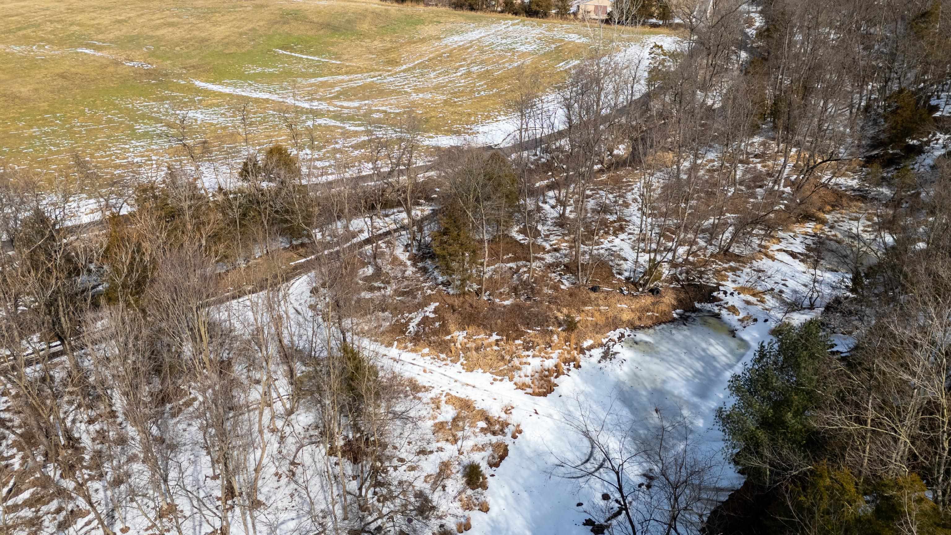 14.07 ac CREEK BED LN, FULKS RUN, Virginia 22830, ,Land,14.07 ac CREEK BED LN,673674 MLS # 673674 14.07 ac CREEK BED LN, FULKS RUN, Virginia 22830, ,Land,14.07 ac CREEK BED LN,673674 MLS # 673674