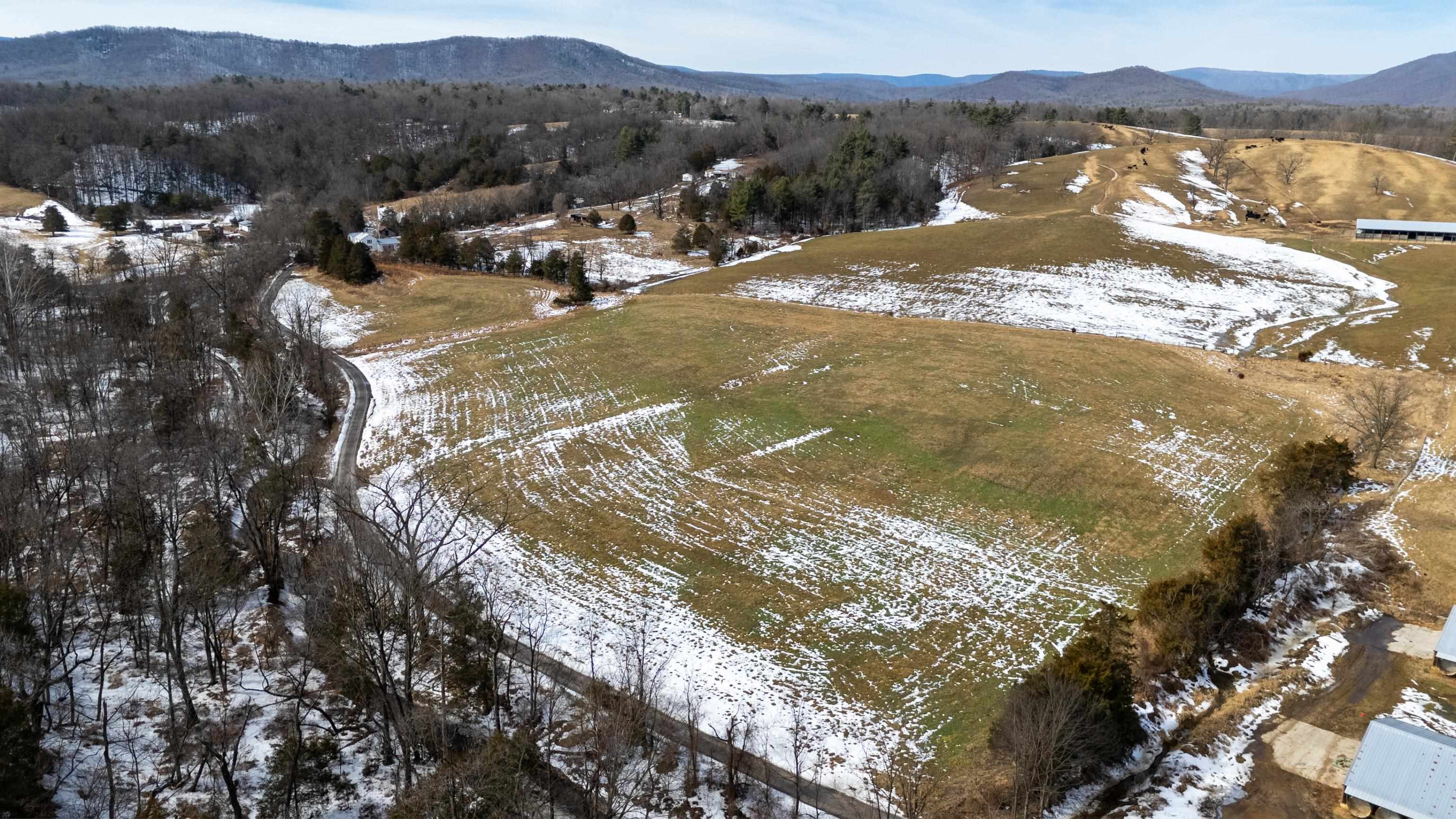 14.07 ac CREEK BED LN, FULKS RUN, Virginia 22830, ,Land,14.07 ac CREEK BED LN,673674 MLS # 673674 14.07 ac CREEK BED LN, FULKS RUN, Virginia 22830, ,Land,14.07 ac CREEK BED LN,673674 MLS # 673674