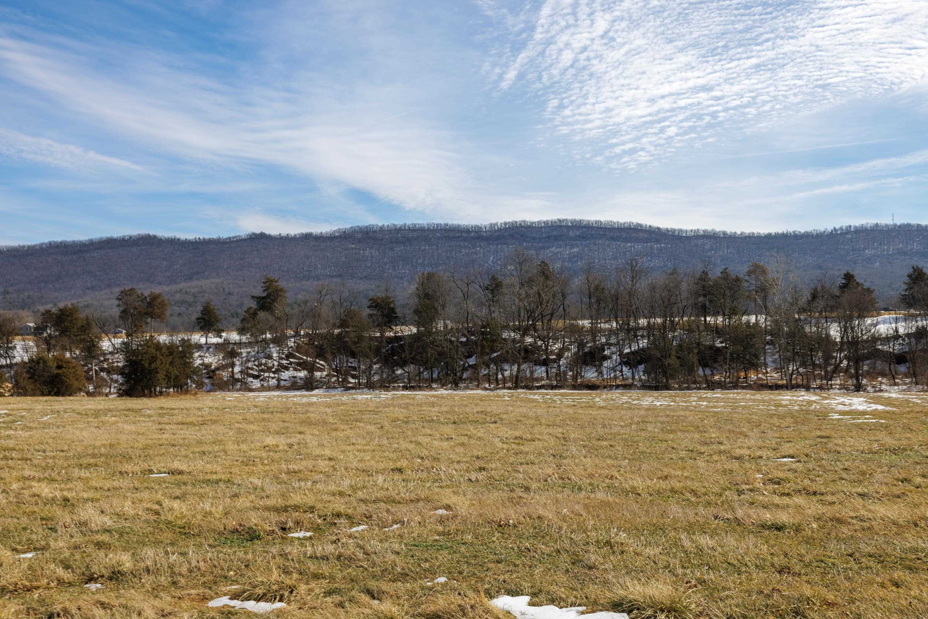 14.07 ac CREEK BED LN, FULKS RUN, Virginia 22830, ,Land,14.07 ac CREEK BED LN,673674 MLS # 673674 14.07 ac CREEK BED LN, FULKS RUN, Virginia 22830, ,Land,14.07 ac CREEK BED LN,673674 MLS # 673674