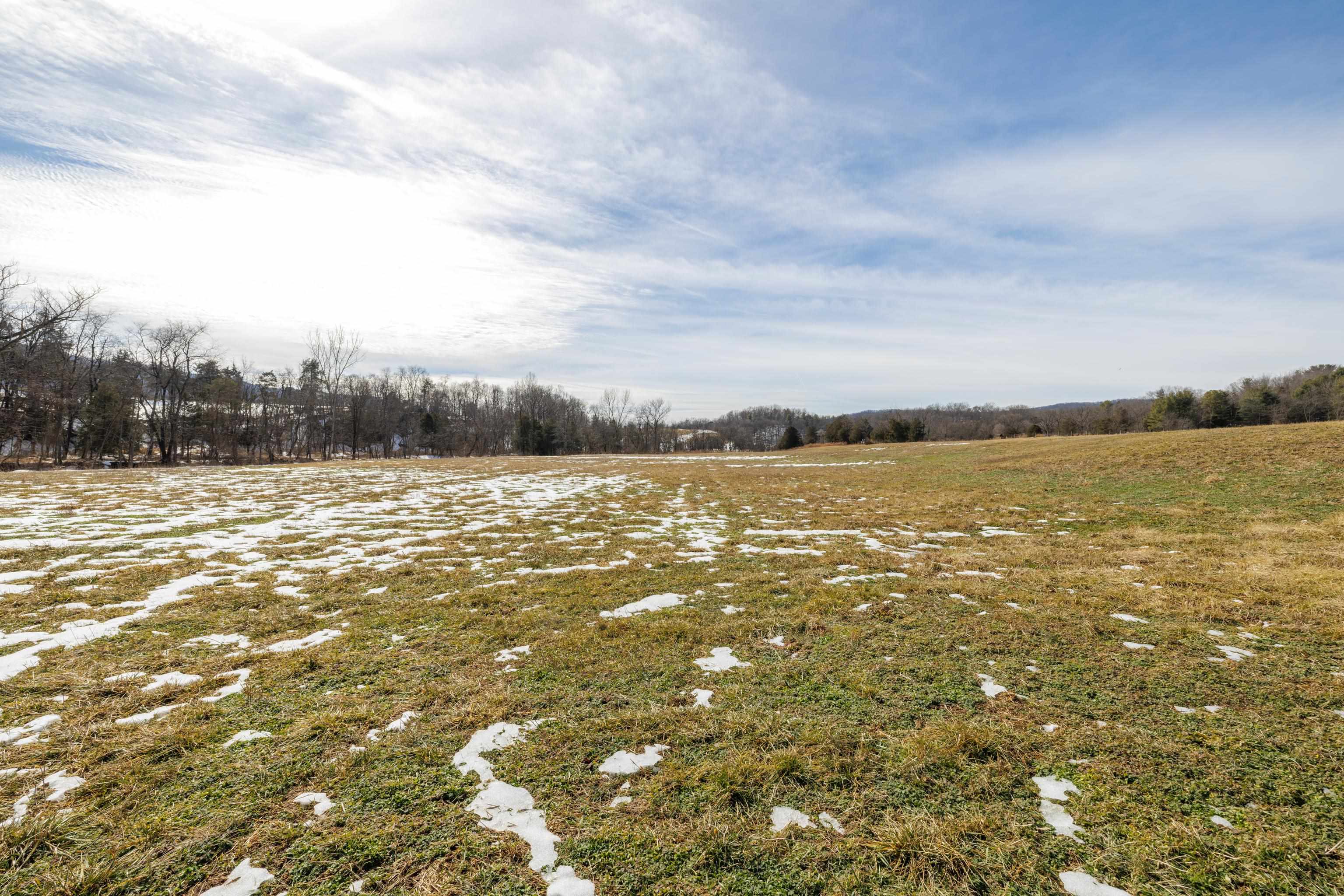 14.07 ac CREEK BED LN, FULKS RUN, Virginia 22830, ,Land,14.07 ac CREEK BED LN,673674 MLS # 673674 14.07 ac CREEK BED LN, FULKS RUN, Virginia 22830, ,Land,14.07 ac CREEK BED LN,673674 MLS # 673674