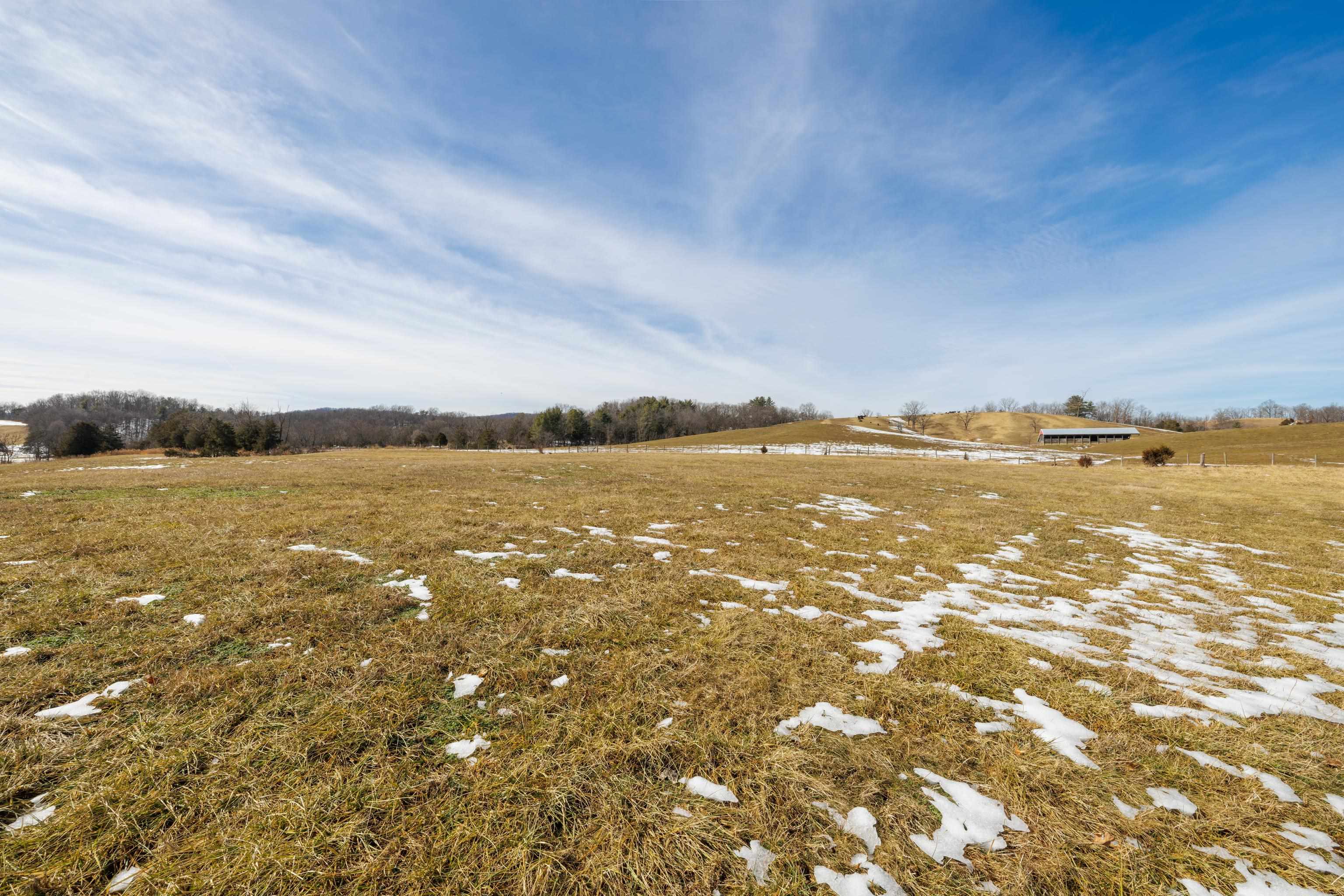 14.07 ac CREEK BED LN, FULKS RUN, Virginia 22830, ,Land,14.07 ac CREEK BED LN,673674 MLS # 673674 14.07 ac CREEK BED LN, FULKS RUN, Virginia 22830, ,Land,14.07 ac CREEK BED LN,673674 MLS # 673674