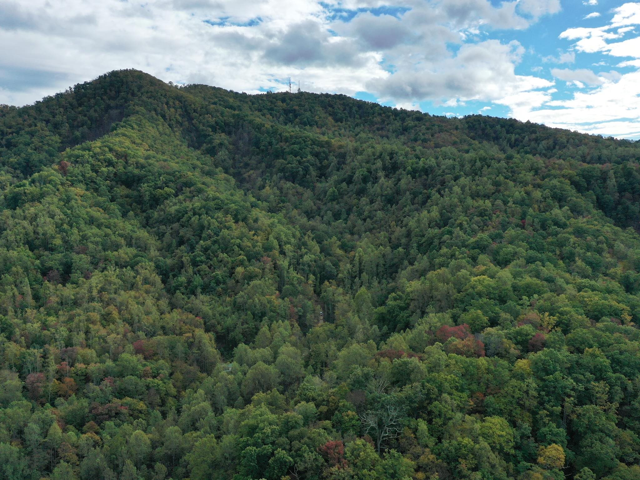 TBD DAVIS CREEK LN, LOVINGSTON, Virginia 22949, ,Land,TBD DAVIS CREEK LN,673681 MLS # 673681