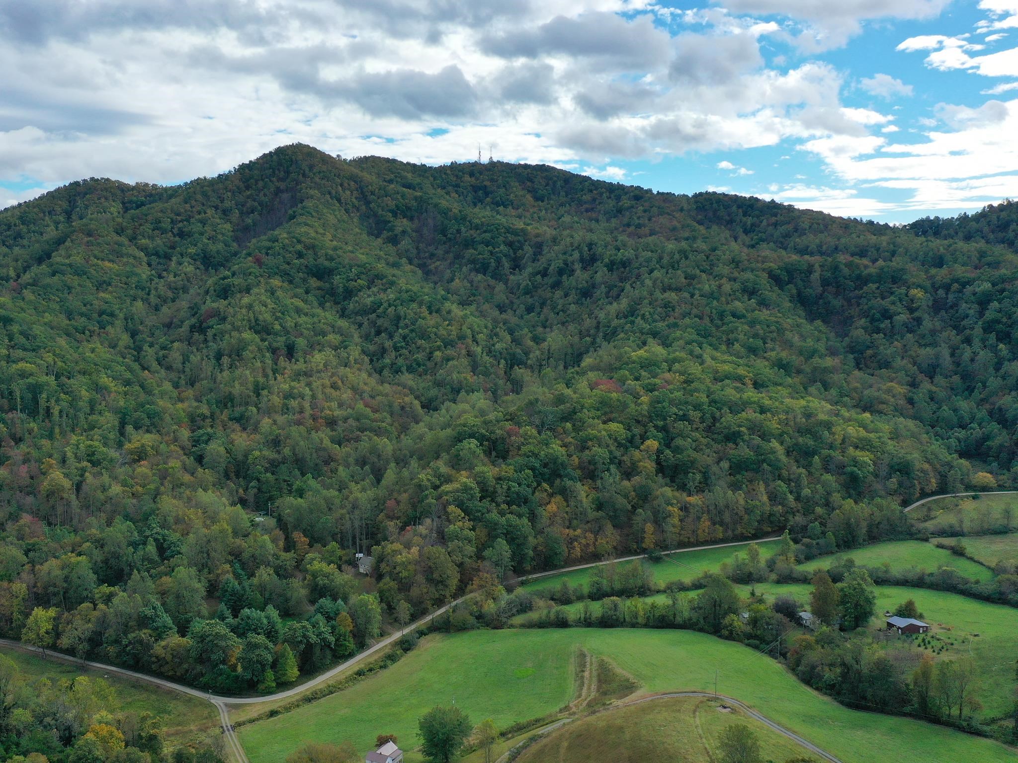 TBD DAVIS CREEK LN, LOVINGSTON, Virginia 22949, ,Land,TBD DAVIS CREEK LN,673681 MLS # 673681