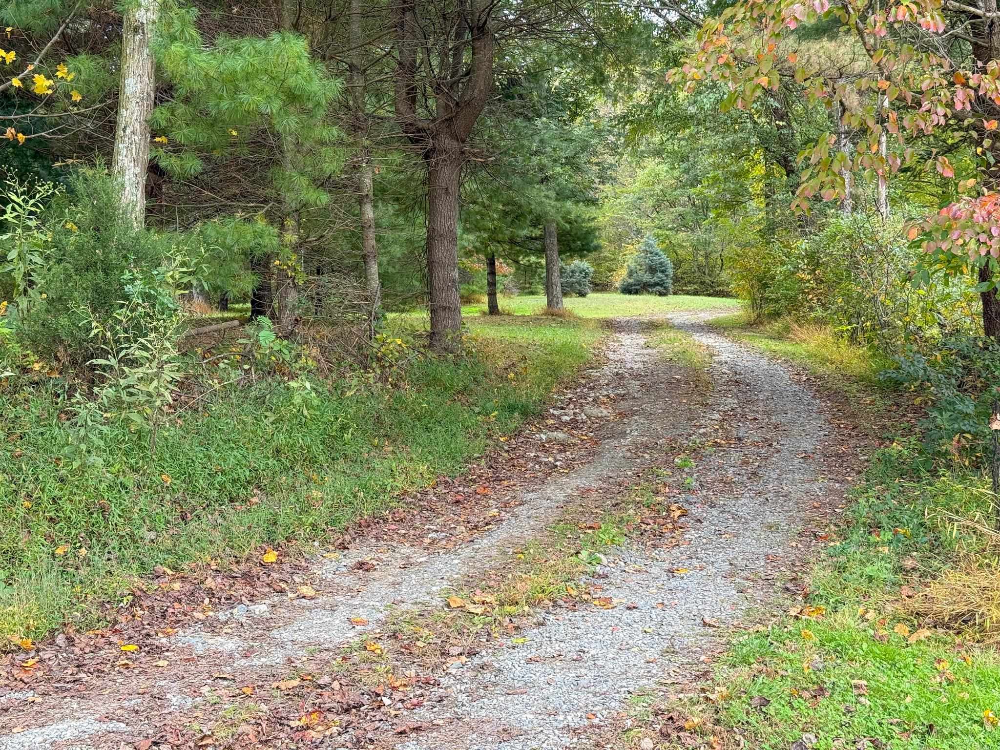 TBD DAVIS CREEK LN, LOVINGSTON, Virginia 22949, ,Land,TBD DAVIS CREEK LN,673681 MLS # 673681