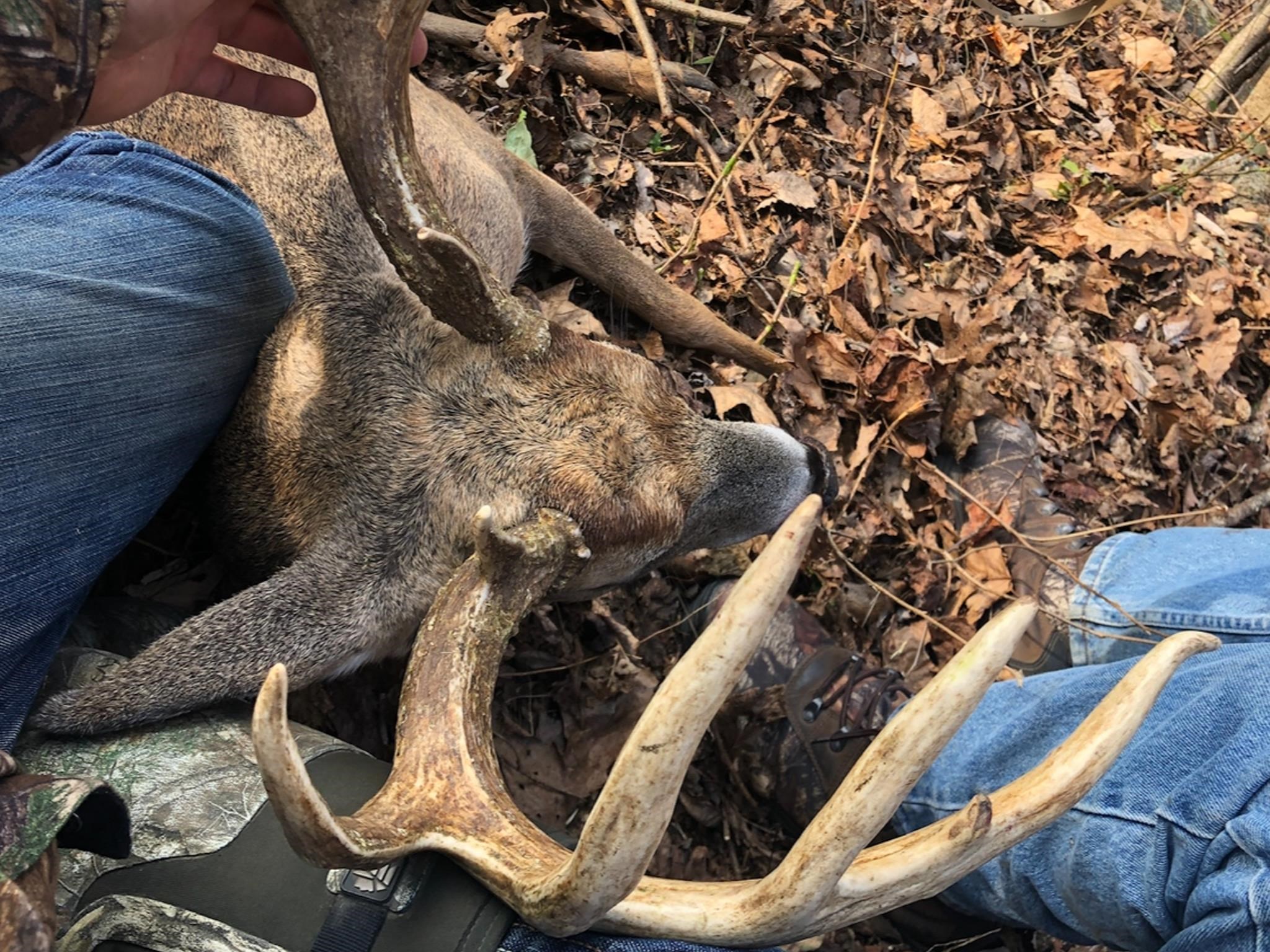 TBD DAVIS CREEK LN, LOVINGSTON, Virginia 22949, ,Land,TBD DAVIS CREEK LN,673681 MLS # 673681