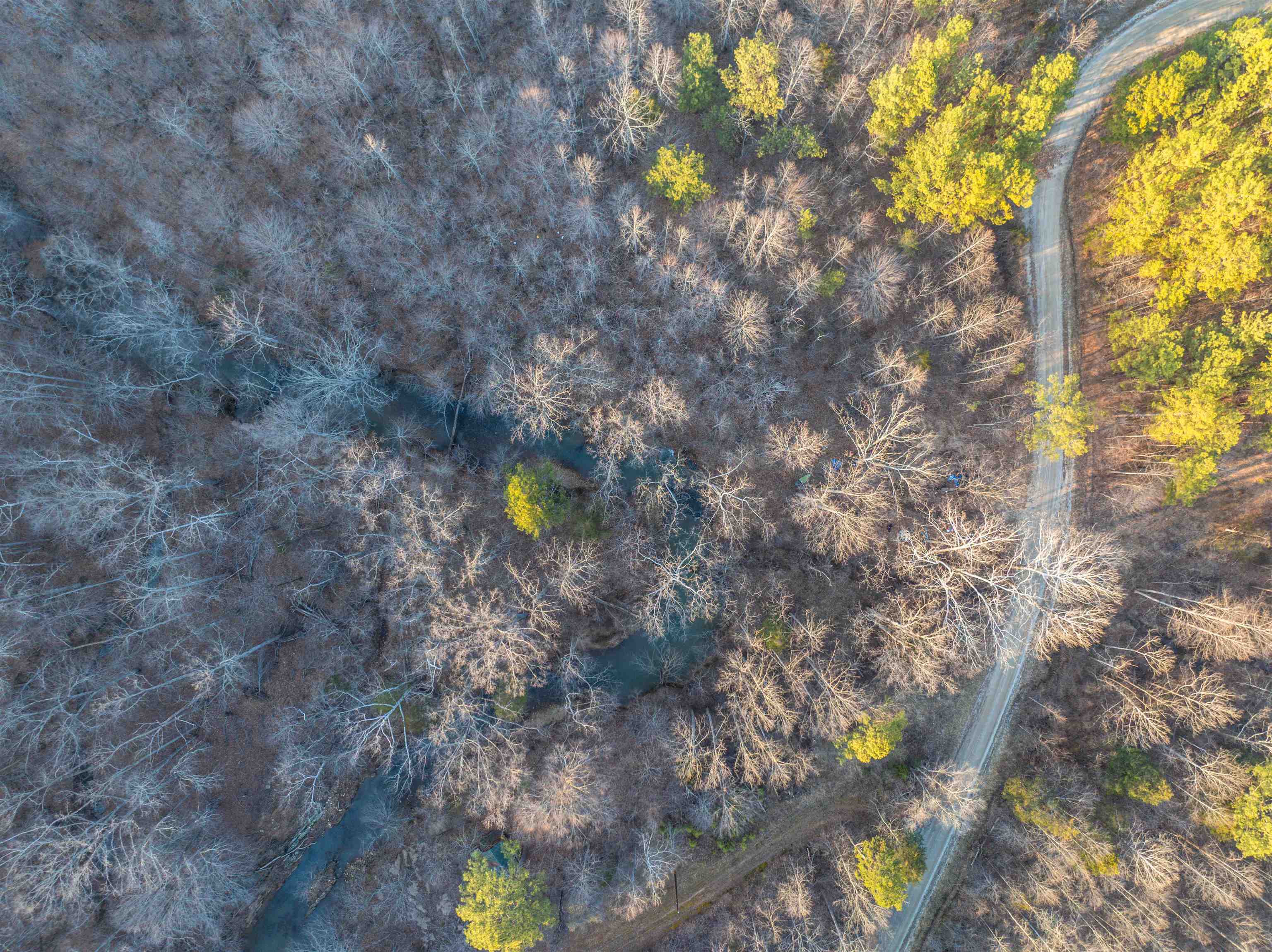 TBD CARTER RD, SCHUYLER, Virginia 22969, ,Land,TBD CARTER RD,673683 MLS # 673683