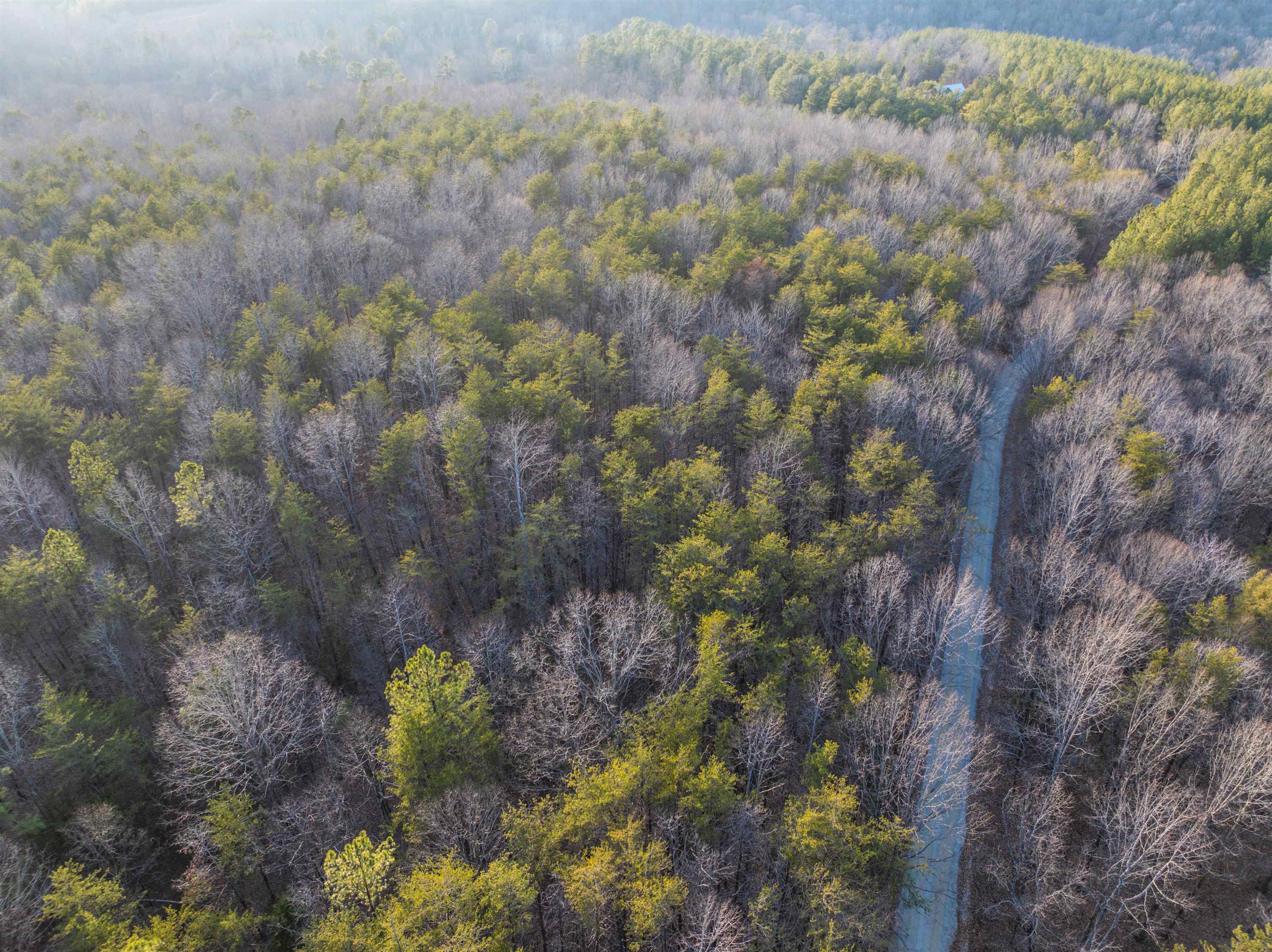 TBD CARTER RD, SCHUYLER, Virginia 22969, ,Land,TBD CARTER RD,673683 MLS # 673683