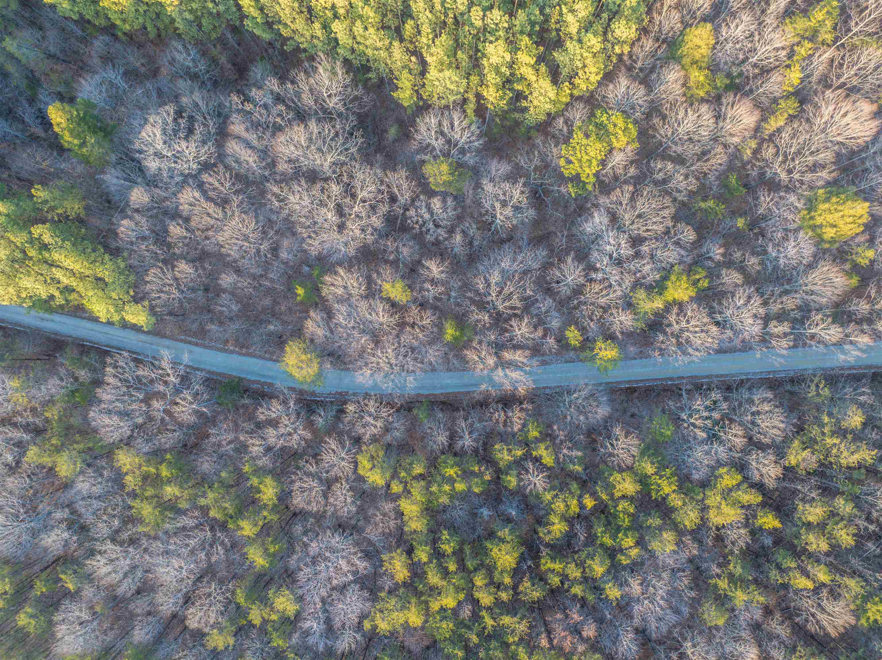 TBD CARTER RD, SCHUYLER, Virginia 22969, ,Land,TBD CARTER RD,673683 MLS # 673683