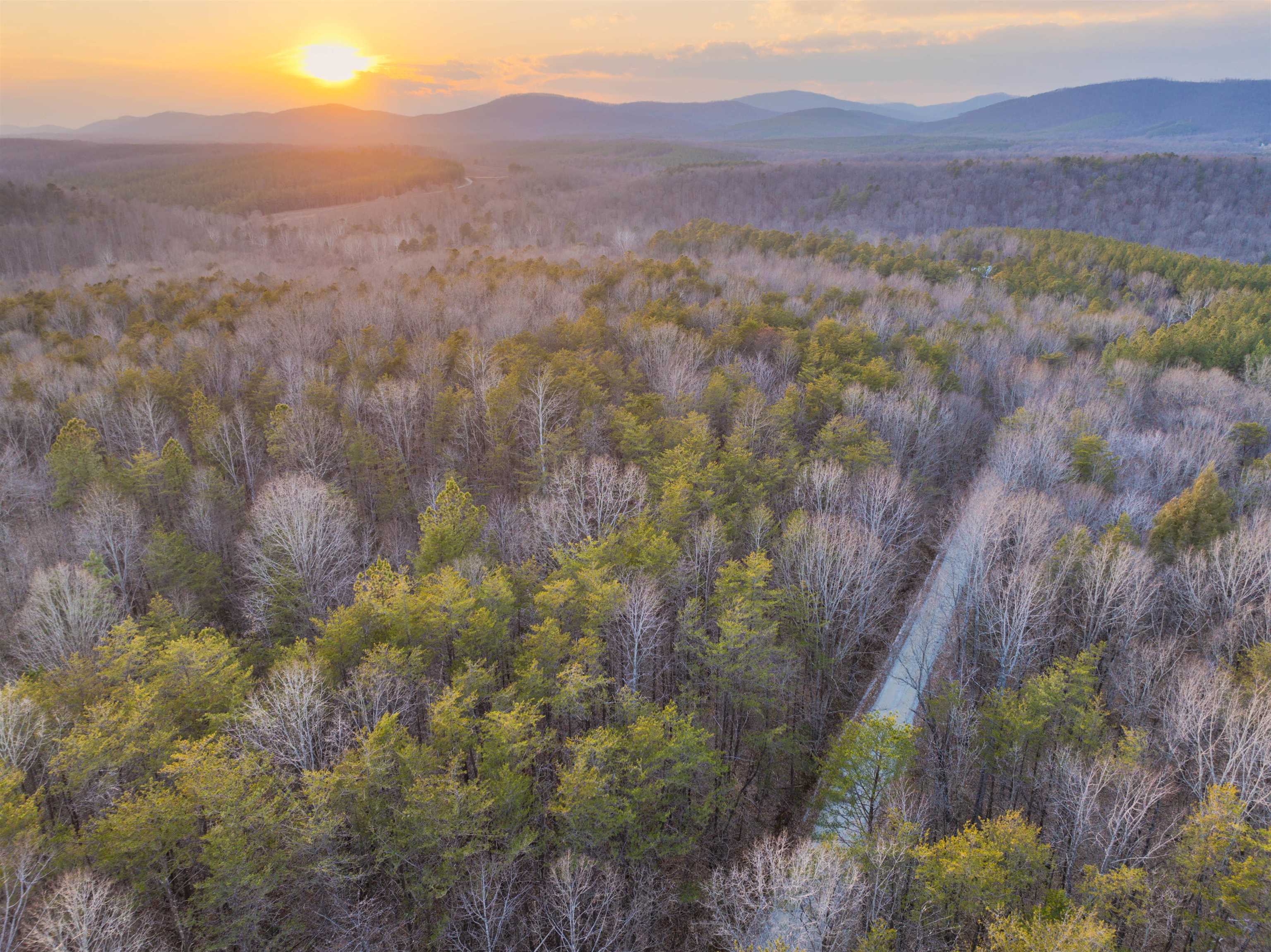 TBD CARTER RD, SCHUYLER, Virginia 22969, ,Land,TBD CARTER RD,673683 MLS # 673683