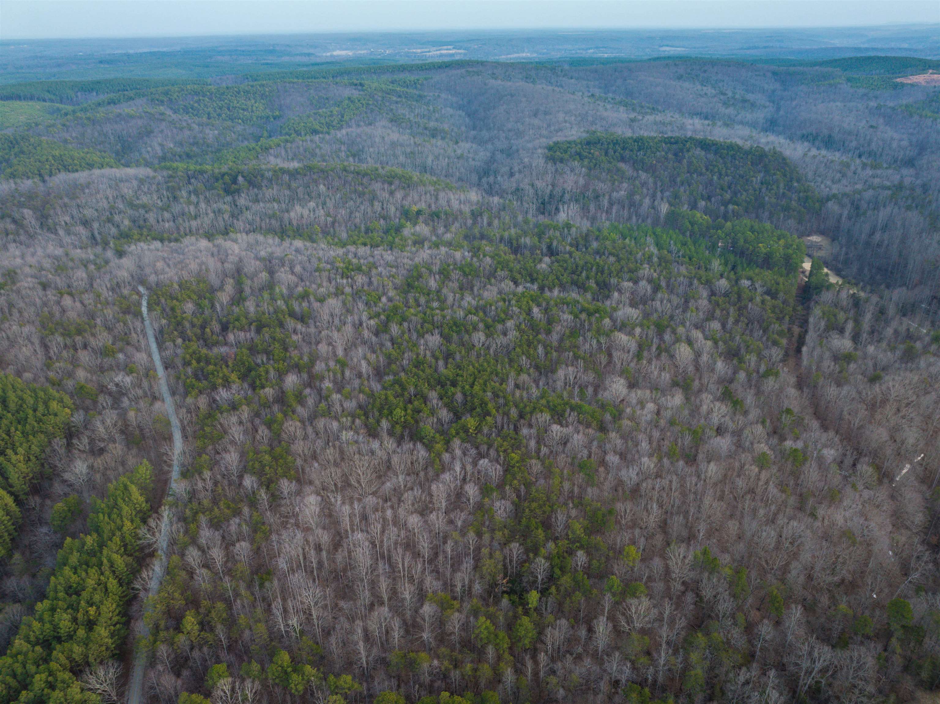 TBD CARTER RD, SCHUYLER, Virginia 22969, ,Land,TBD CARTER RD,673683 MLS # 673683