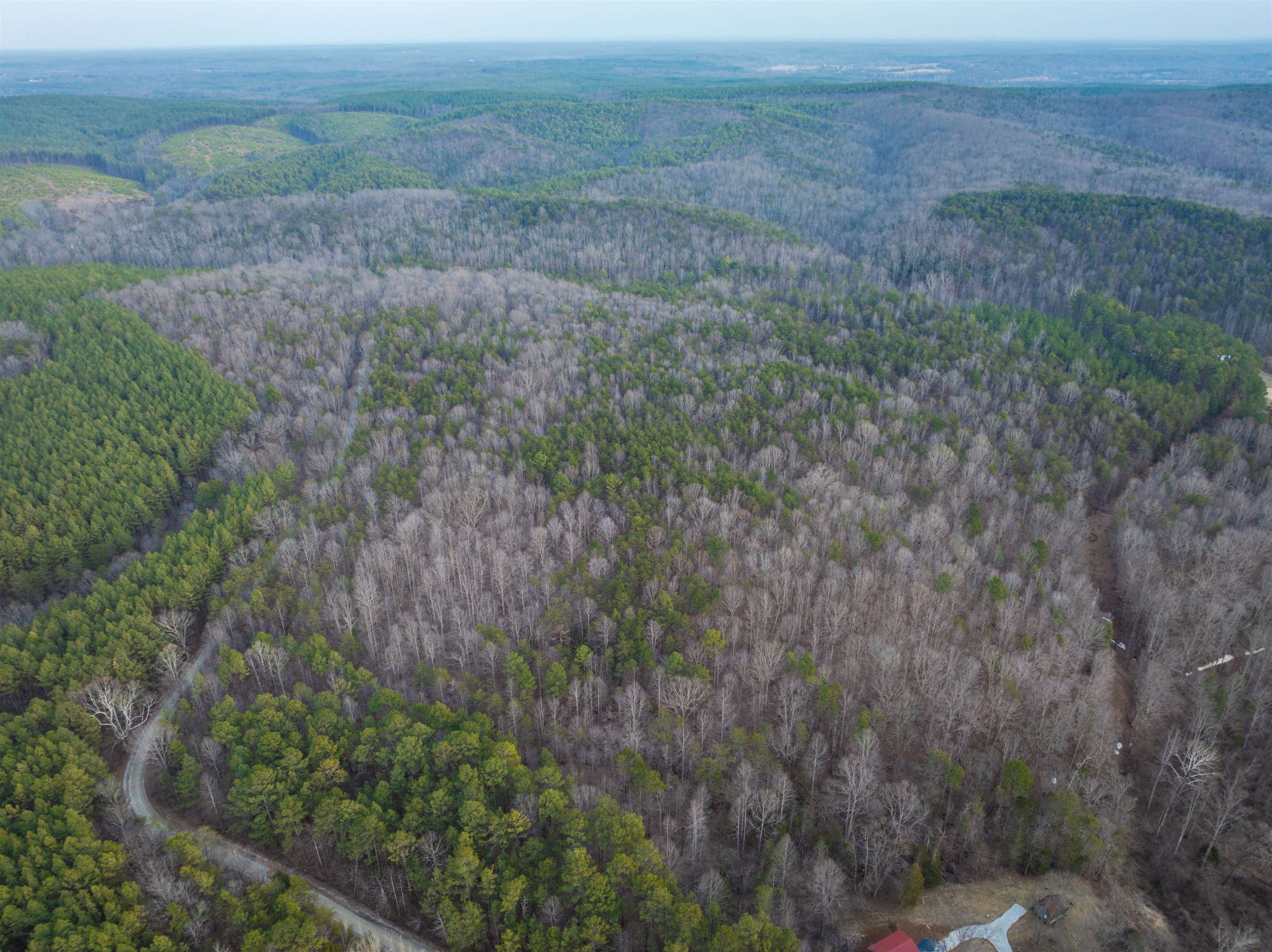 TBD CARTER RD, SCHUYLER, Virginia 22969, ,Land,TBD CARTER RD,673683 MLS # 673683