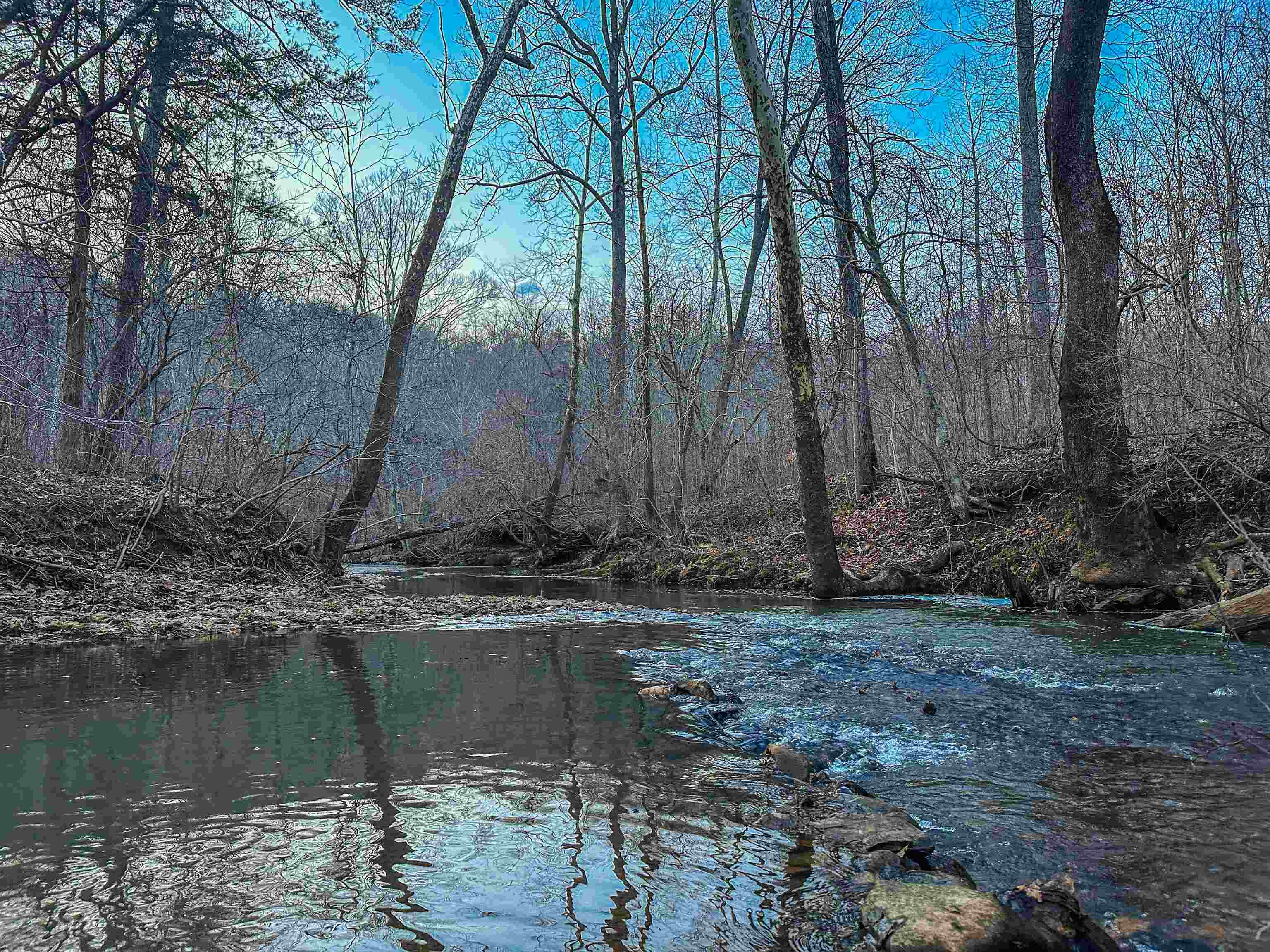 TBD CARTER RD, SCHUYLER, Virginia 22969, ,Land,TBD CARTER RD,673683 MLS # 673683