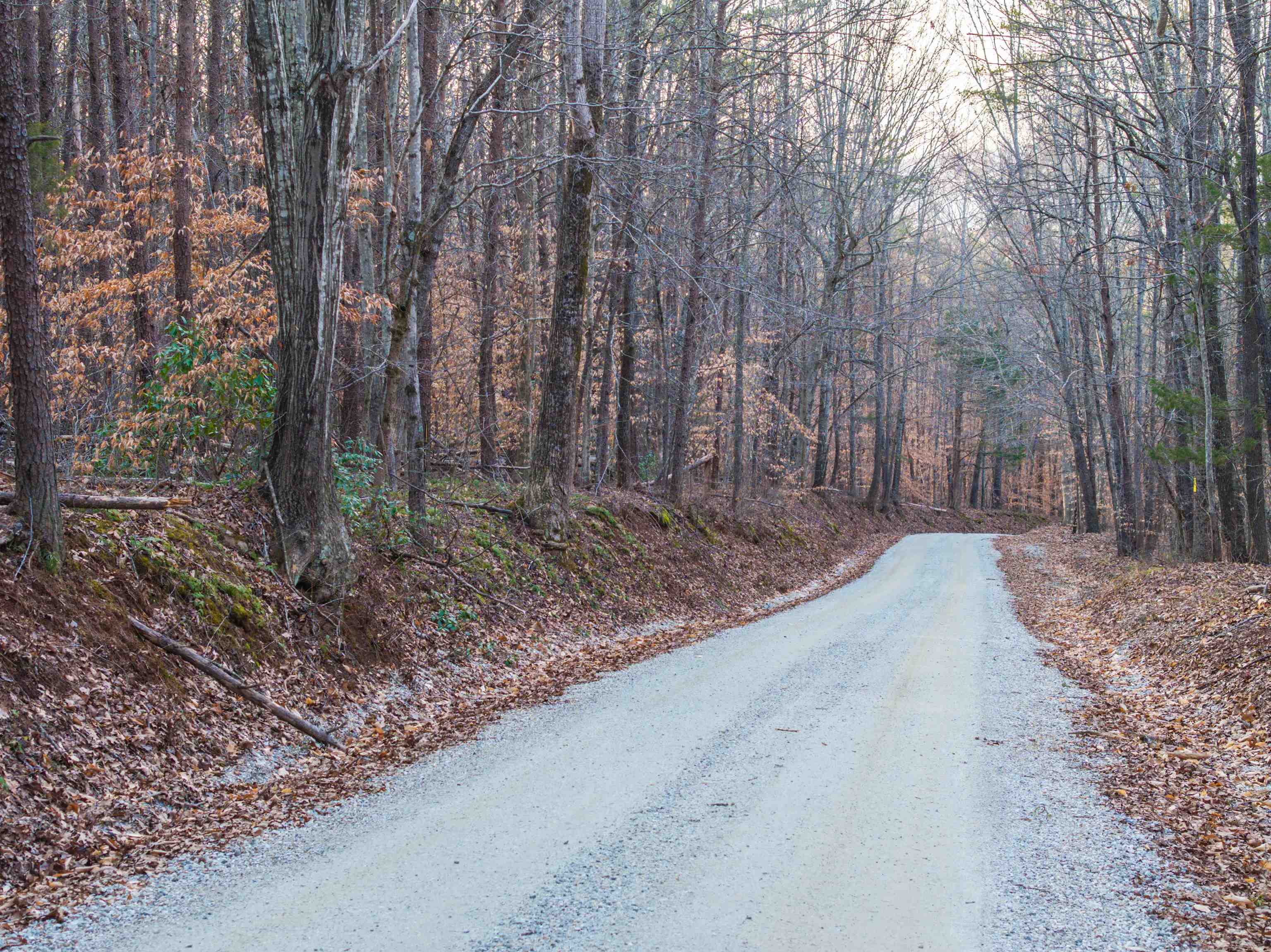 TBD CARTER RD, SCHUYLER, Virginia 22969, ,Land,TBD CARTER RD,673683 MLS # 673683