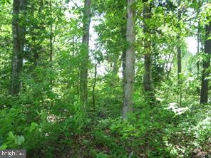 125 MAIN SAIL CT, GREENBACKVILLE, Virginia 23356, ,Land,For sale,125 MAIN SAIL CT,VAAC2002636 MLS # VAAC2002636