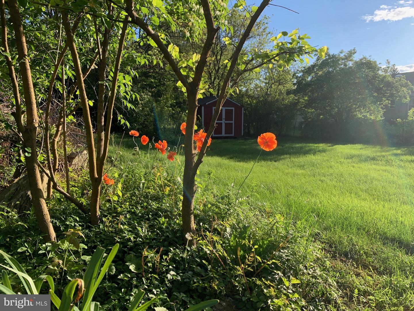 10843 HARRY BYRD HWY, BERRYVILLE, Virginia 22611, 3 Bedrooms Bedrooms, ,2 BathroomsBathrooms,Residential,For sale,10843 HARRY BYRD HWY,VACL2006336 MLS # VACL2006336