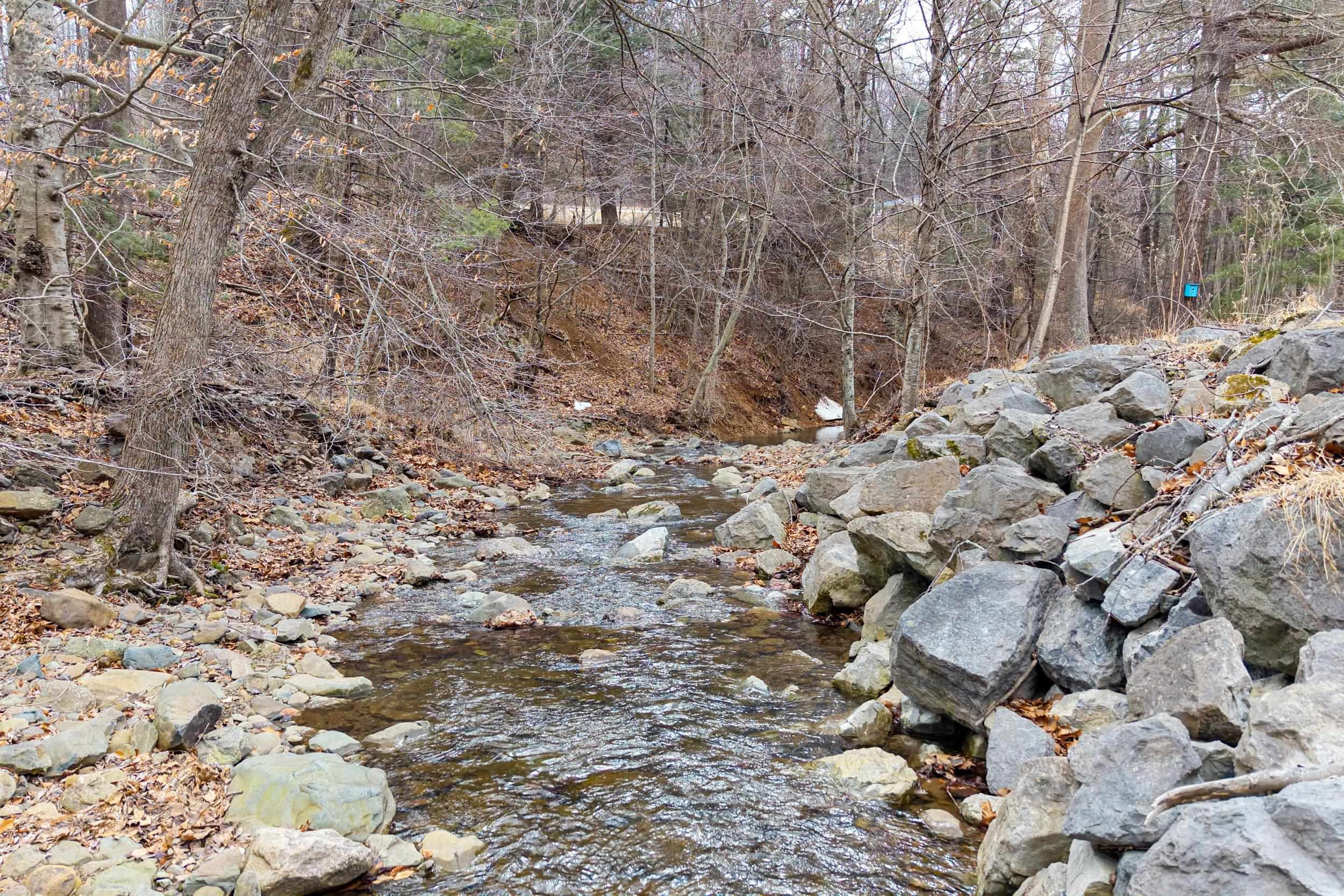 2800 ROCKY BRANCH RD, LURAY, Virginia 22835, 4 Bedrooms Bedrooms, ,3 BathroomsBathrooms,Residential,2800 ROCKY BRANCH RD,673687 MLS # 673687