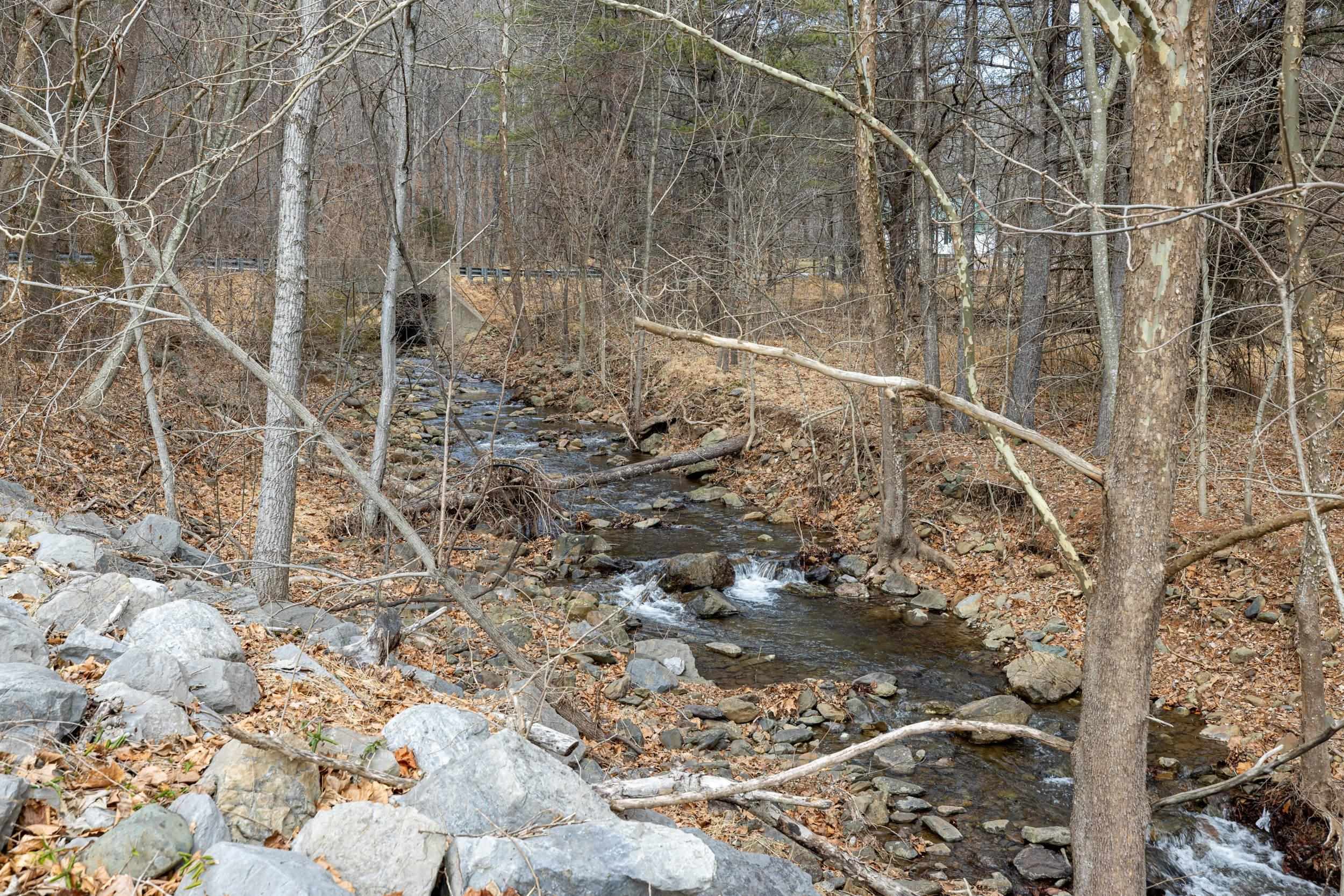 2800 ROCKY BRANCH RD, LURAY, Virginia 22835, 4 Bedrooms Bedrooms, ,3 BathroomsBathrooms,Residential,2800 ROCKY BRANCH RD,673687 MLS # 673687