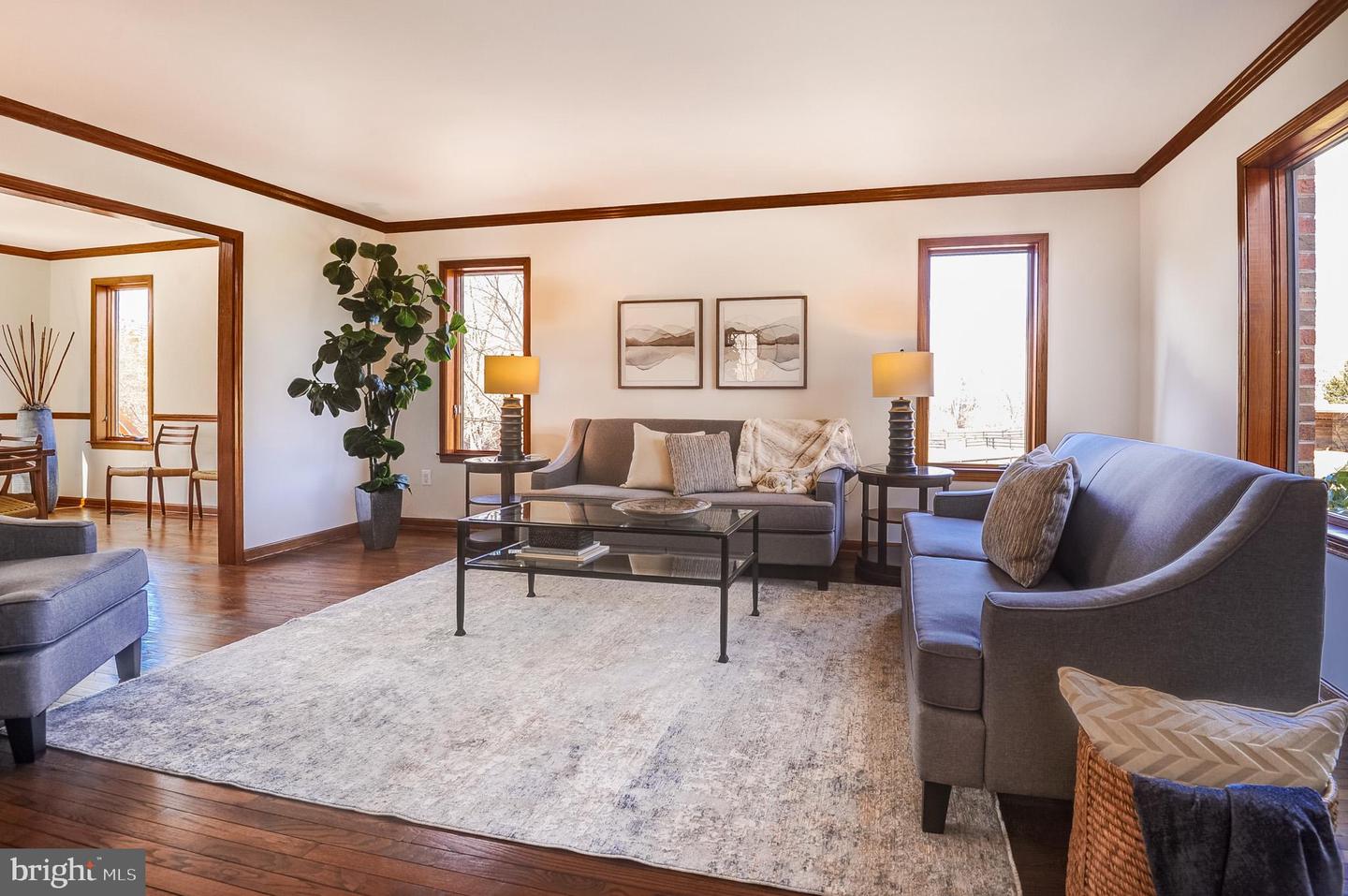 1738 DRESSAGE DR, RESTON, Virginia 20190, 4 Bedrooms Bedrooms, ,4 BathroomsBathrooms,Residential,For sale,1738 DRESSAGE DR,VAFX2289962 MLS # VAFX2289962