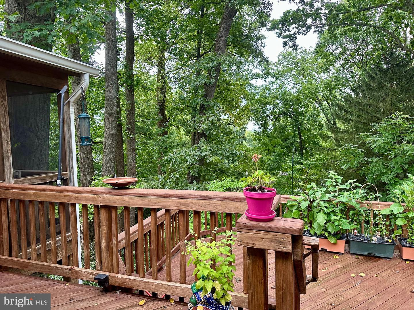 2519 BUCKELEW DR, FALLS CHURCH, Virginia 22046, 3 Bedrooms Bedrooms, ,3 BathroomsBathrooms,Residential,For sale,2519 BUCKELEW DR,VAFX2290076 MLS # VAFX2290076