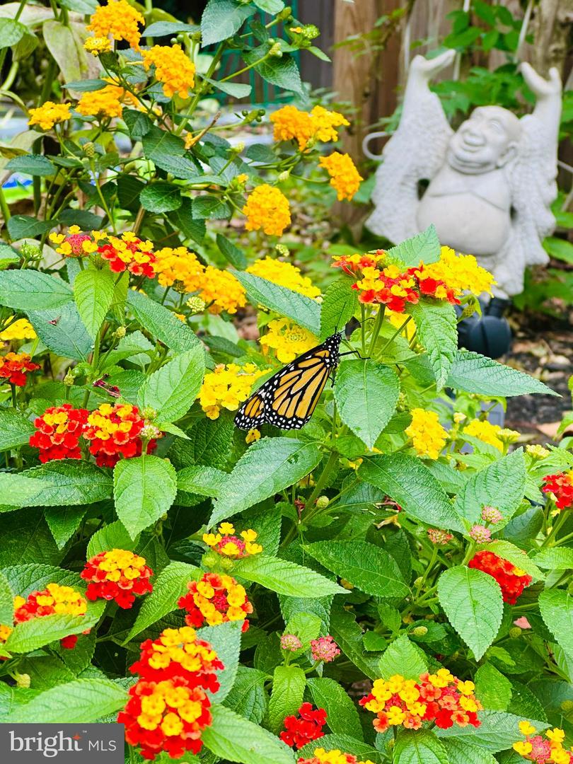 2519 BUCKELEW DR, FALLS CHURCH, Virginia 22046, 3 Bedrooms Bedrooms, ,3 BathroomsBathrooms,Residential,For sale,2519 BUCKELEW DR,VAFX2290076 MLS # VAFX2290076