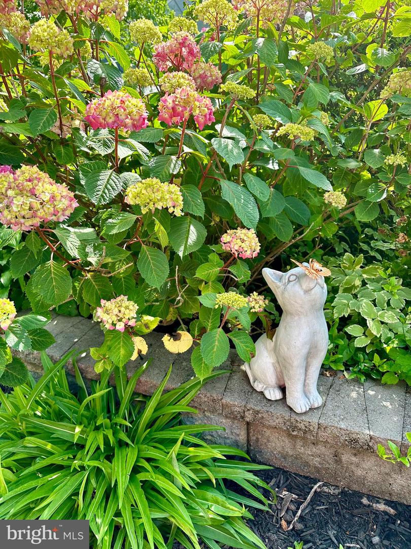 2519 BUCKELEW DR, FALLS CHURCH, Virginia 22046, 3 Bedrooms Bedrooms, ,3 BathroomsBathrooms,Residential,For sale,2519 BUCKELEW DR,VAFX2290076 MLS # VAFX2290076