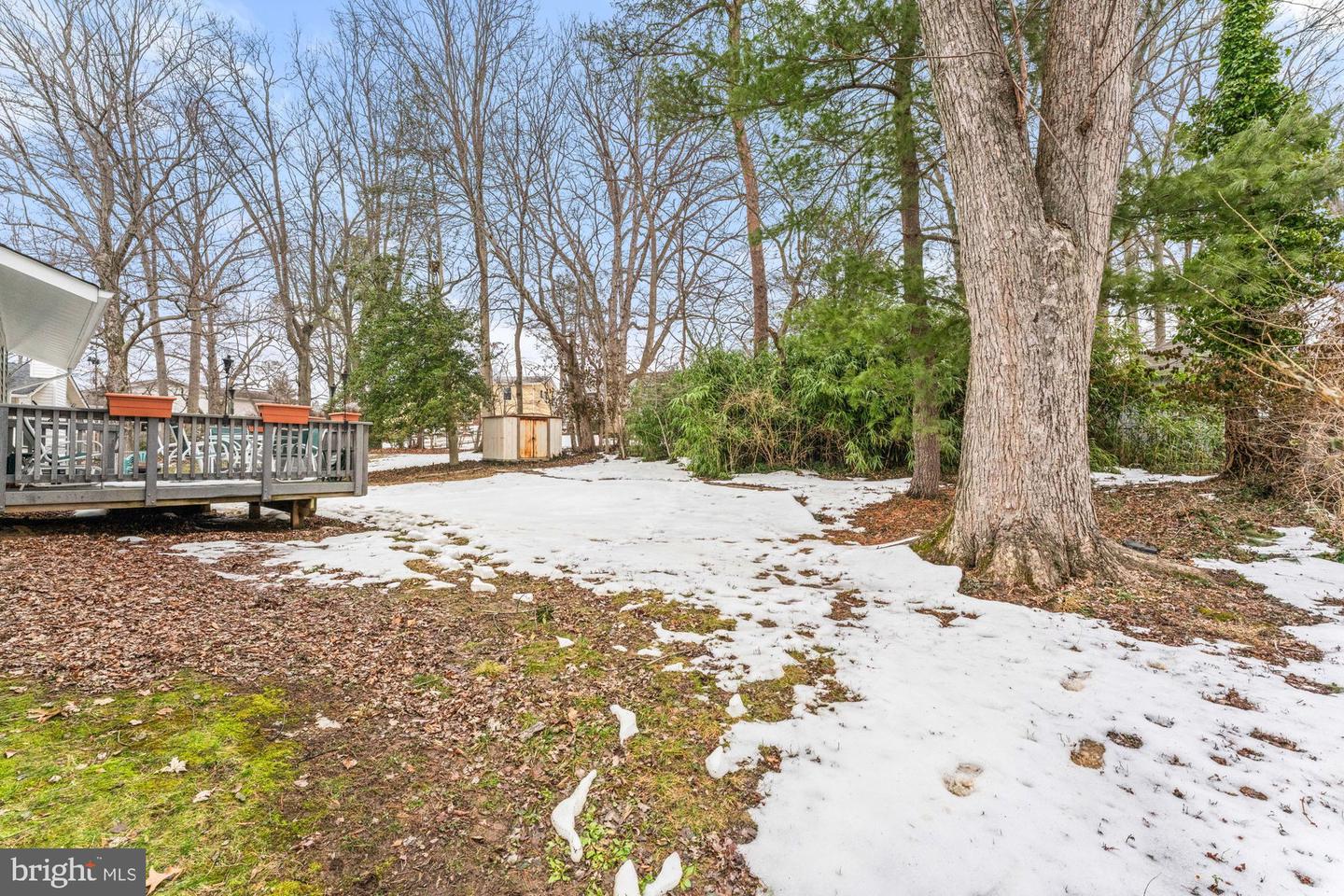 606 MEADOW LN SW, VIENNA, Virginia 22180, 4 Bedrooms Bedrooms, ,2 BathroomsBathrooms,Residential,For sale,606 MEADOW LN SW,VAFX2290962 MLS # VAFX2290962