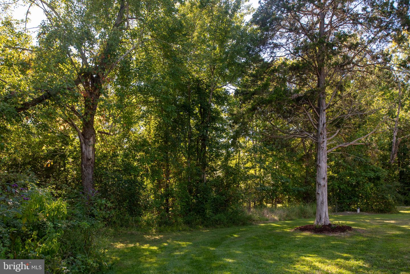 5676 BUCKNER RD, BUMPASS, Virginia 23024, 3 Bedrooms Bedrooms, ,2 BathroomsBathrooms,Residential,For sale,5676 BUCKNER RD,VALA2009296 MLS # VALA2009296 5676 BUCKNER RD, BUMPASS, Virginia 23024, 3 Bedrooms Bedrooms, ,2 BathroomsBathrooms,Residential,For sale,5676 BUCKNER RD,VALA2009296 MLS # VALA2009296