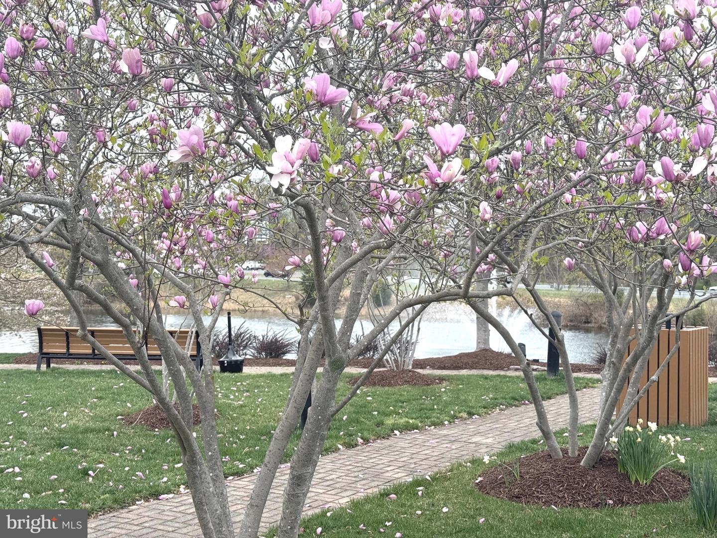 19410 FRONT ST, LEESBURG, Virginia 20176, 5 Bedrooms Bedrooms, ,4 BathroomsBathrooms,Residential,For sale,19410 FRONT ST,VALO2116176 MLS # VALO2116176