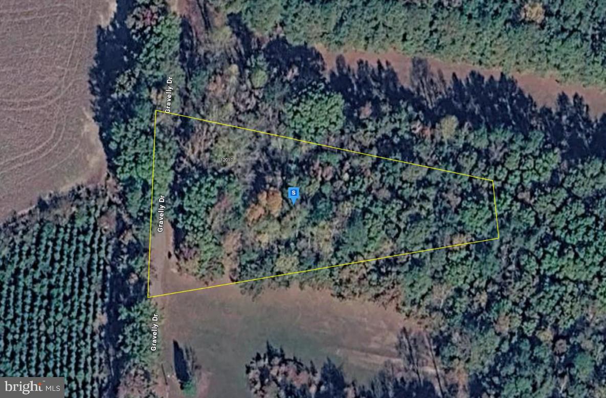 12025 GRAVELLY DR, DINWIDDIE, Virginia 23841, ,Land,For sale,12025 GRAVELLY DR,VADW2000072 MLS # VADW2000072 12025 GRAVELLY DR, DINWIDDIE, Virginia 23841, ,Land,For sale,12025 GRAVELLY DR,VADW2000072 MLS # VADW2000072