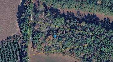12025 GRAVELLY DR, DINWIDDIE, Virginia 23841, ,Land,For sale,12025 GRAVELLY DR,VADW2000072 MLS # VADW2000072