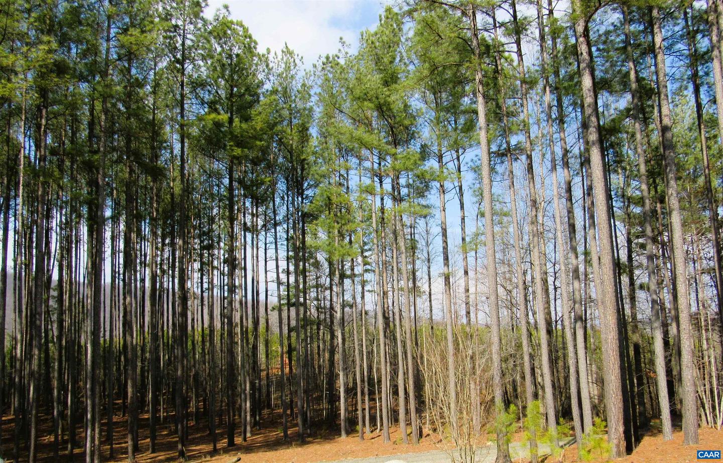 3324 LAUREL RD, SHIPMAN, Virginia 22971, 3 Bedrooms Bedrooms, ,2 BathroomsBathrooms,Residential,For sale,3324 LAUREL RD,673667 MLS # 673667 3324 LAUREL RD, SHIPMAN, Virginia 22971, 3 Bedrooms Bedrooms, ,2 BathroomsBathrooms,Residential,For sale,3324 LAUREL RD,673667 MLS # 673667